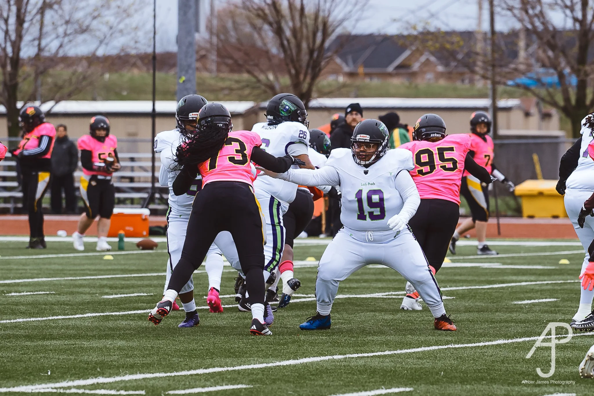 DSC03503.jpg