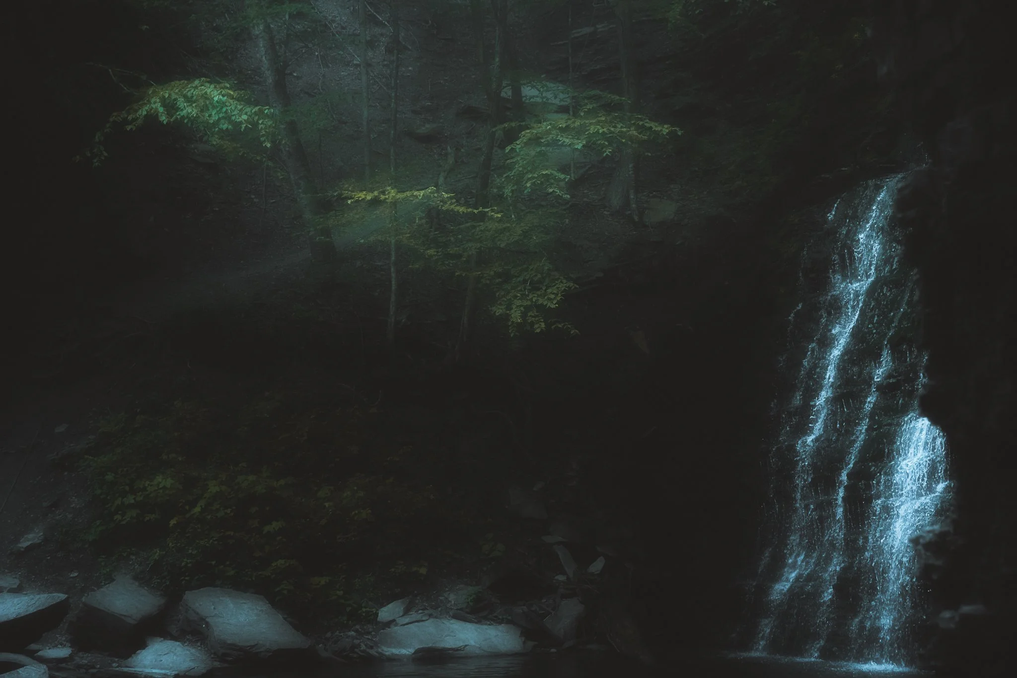 grimes glen 2021-53.jpg
