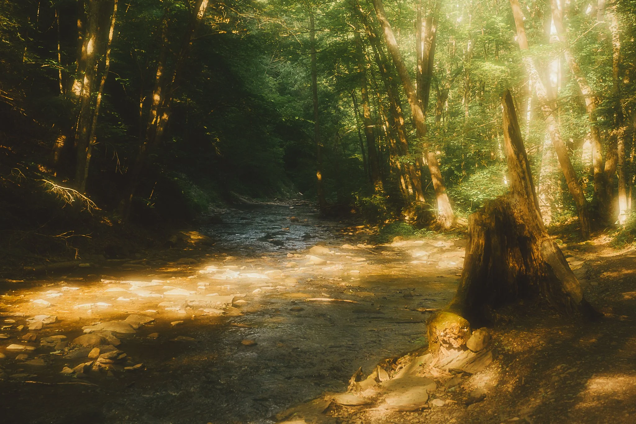 grimes glen 2021-18.jpg