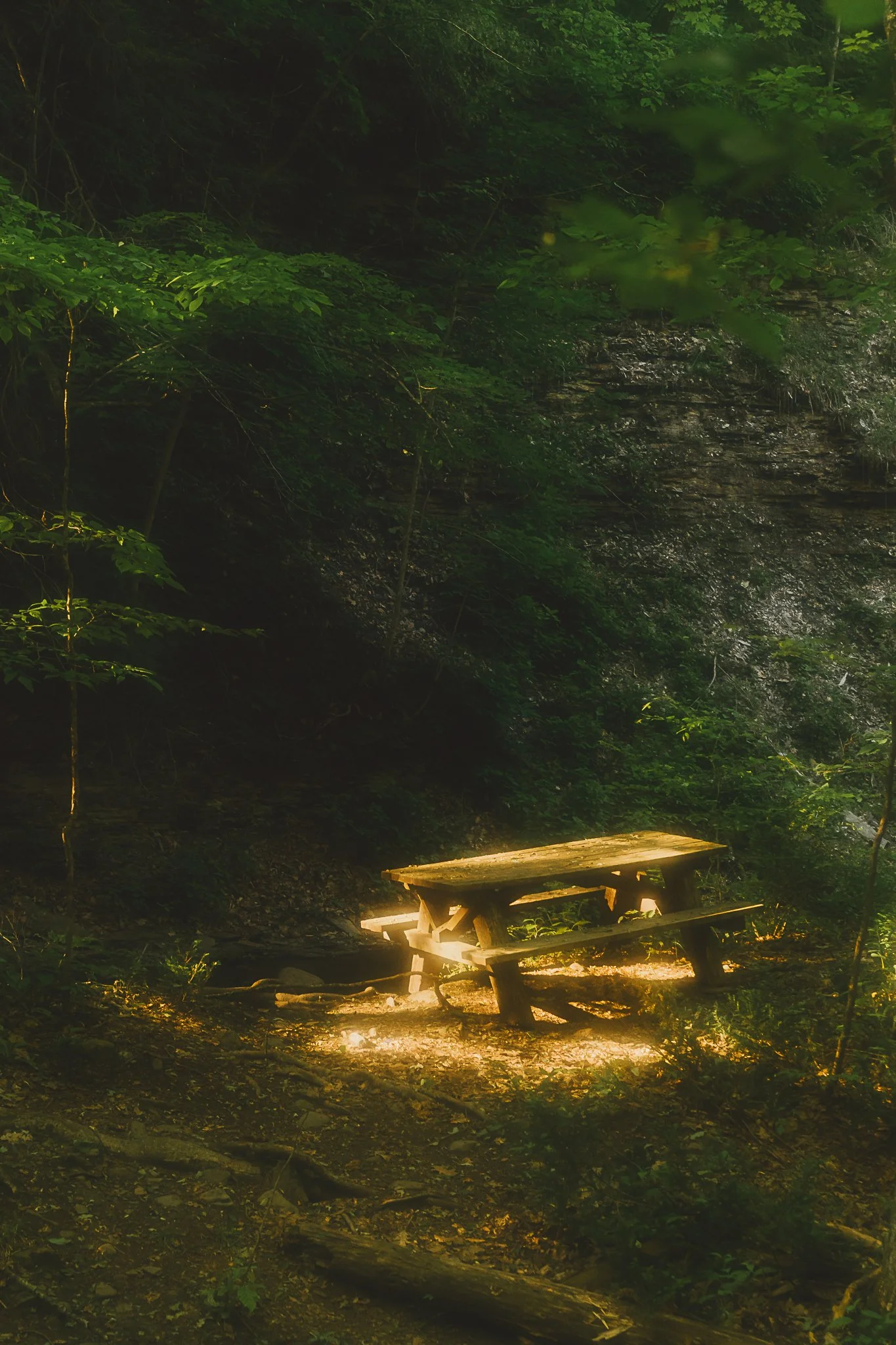 grimes glen 2021-14.jpg