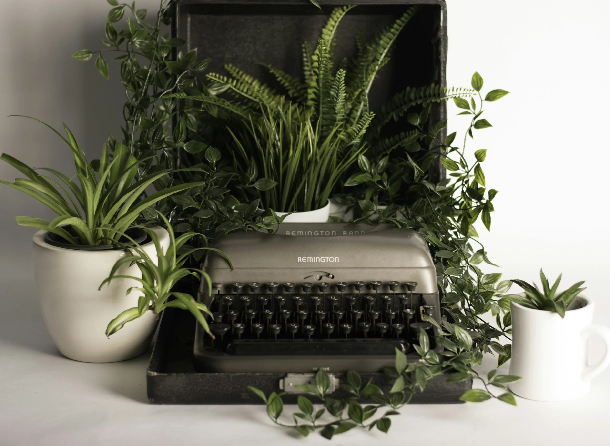 Arrangement of potted green plants surrounding a vintage typewriter with the brand name 'Remington' visible on the front.