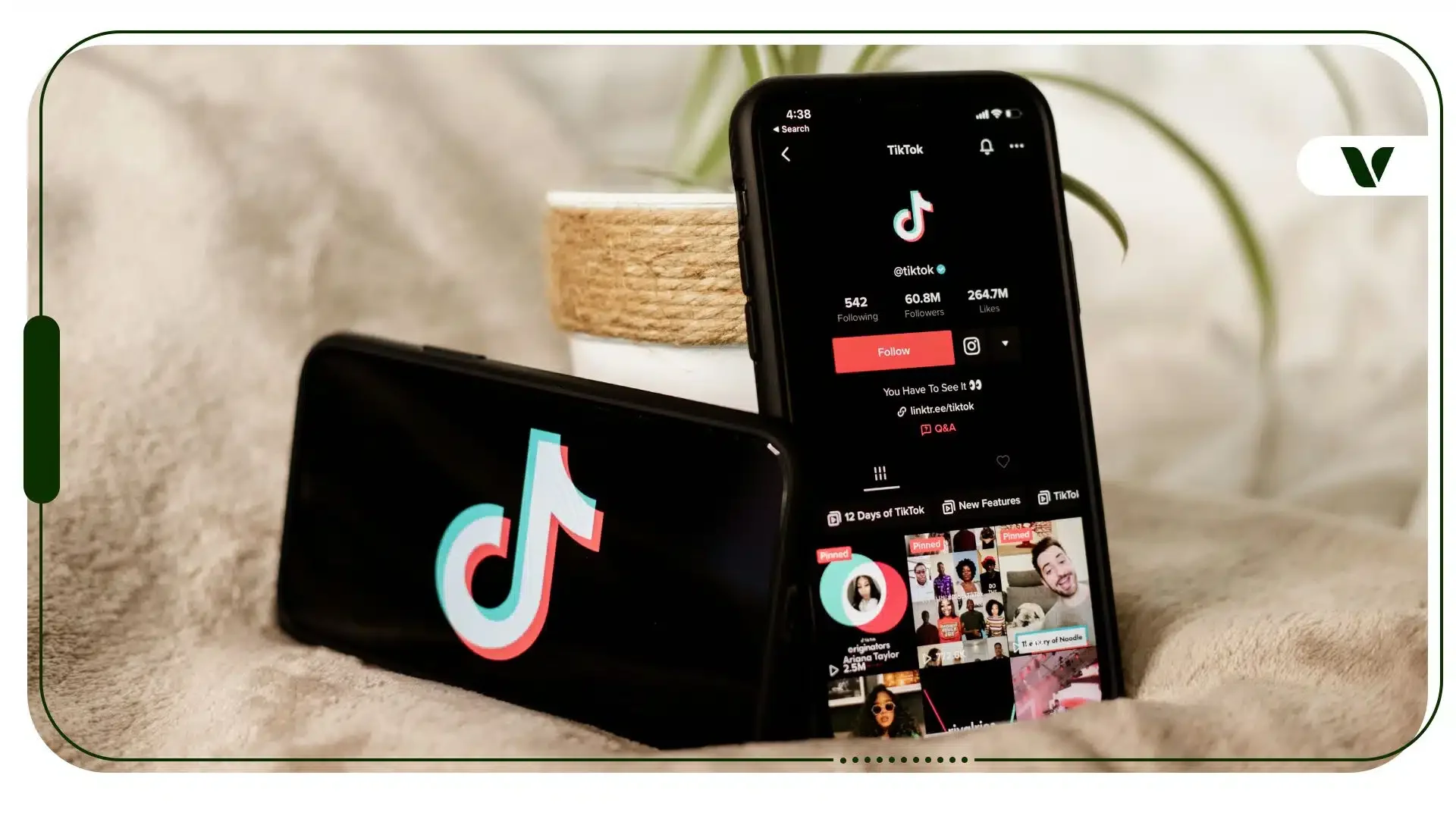 Gardening, Penjamins, &amp; How TikTok is Changing our vocabulary