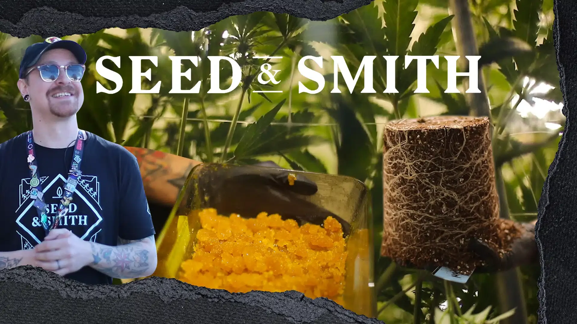 Behind-The-Scenes of a Cannabis Grow Facility with Seed &amp; Smith