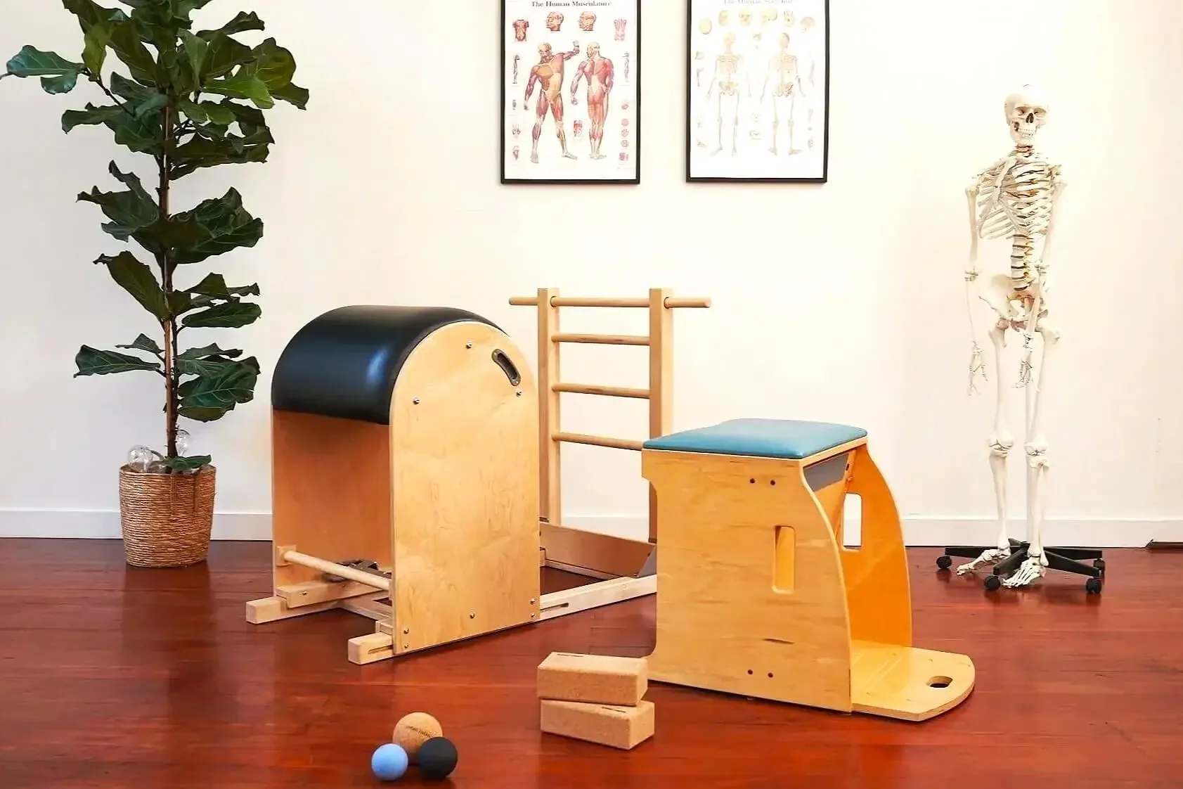 Ladder barrel and Wunda Chair Pilates apparatus in the Amsterdam West Pilates studio