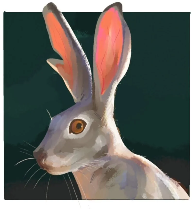Digital painting of a rabbit with large ears, with a dark teal background.