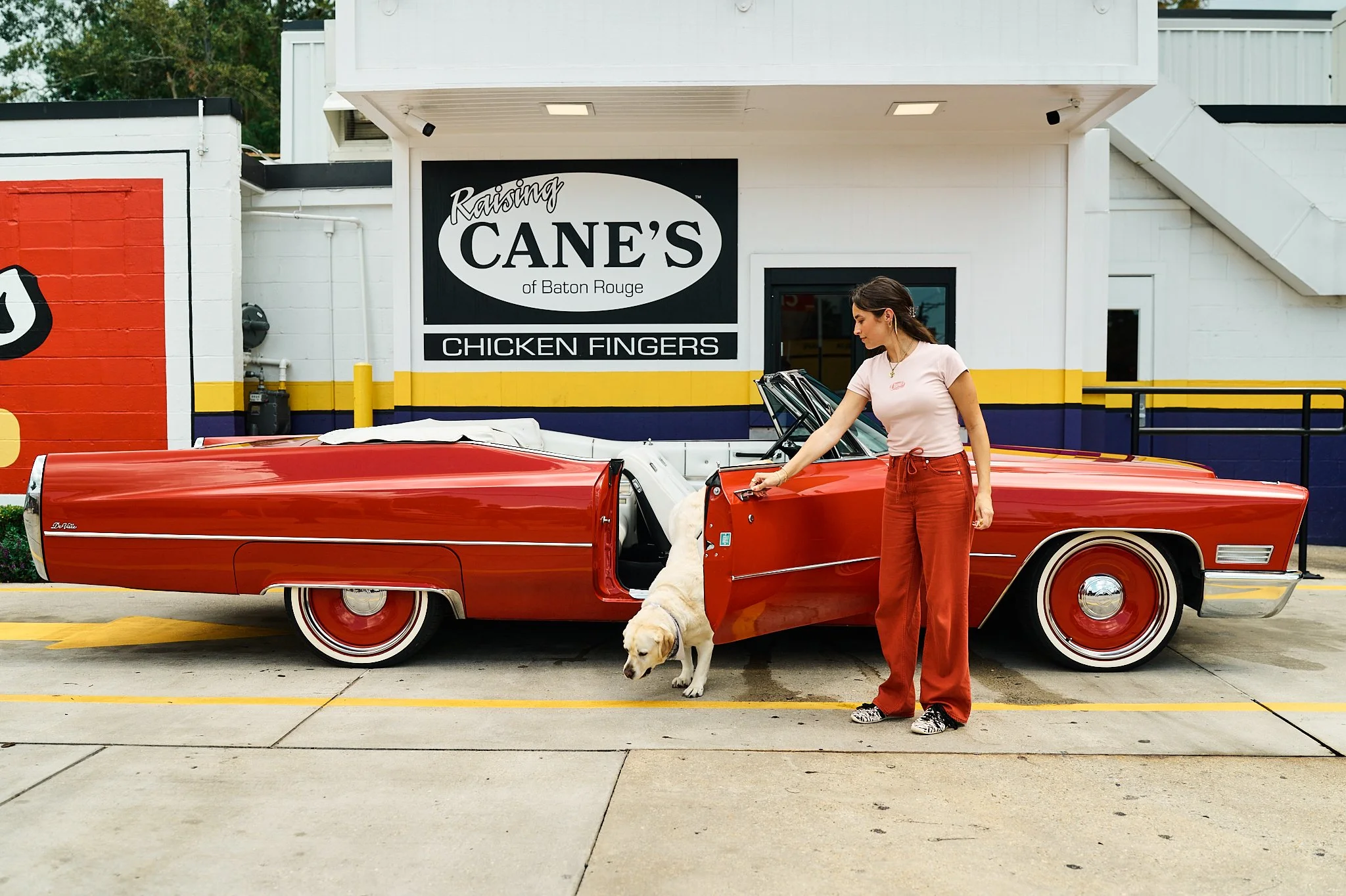 Vogue_Dogue_Canes_75.jpg