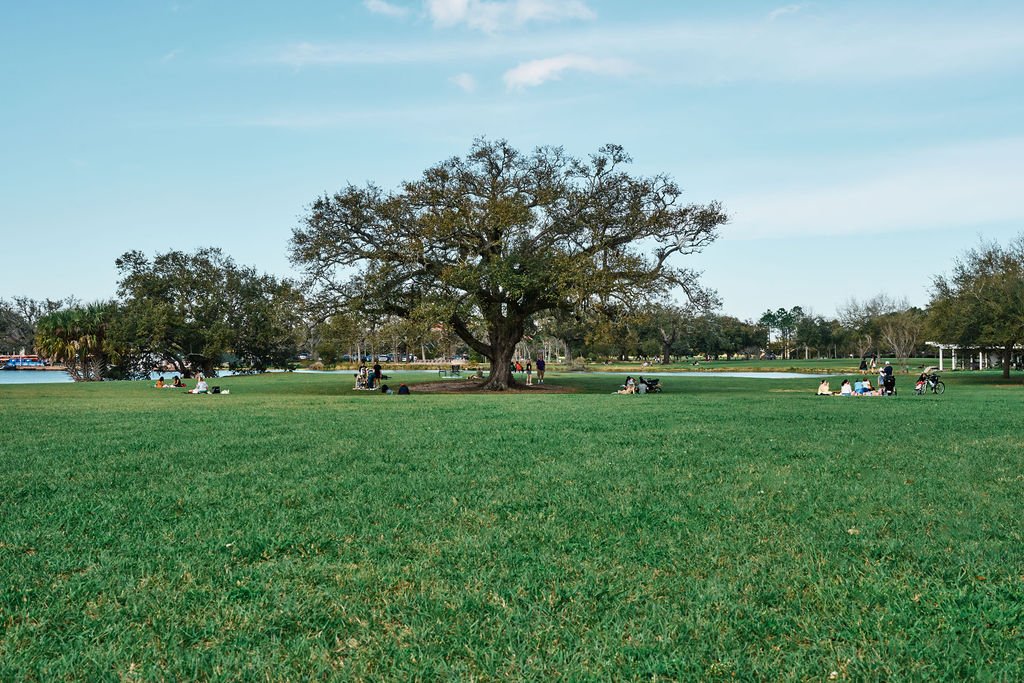 Cityparkhalfday100194.jpg