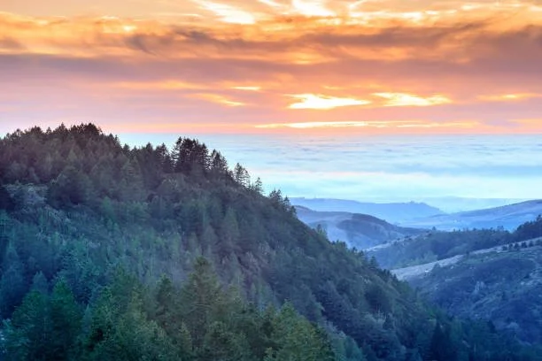 Scenic view of a sunset over a forested mountain landscape with layers of mountains in the distance.