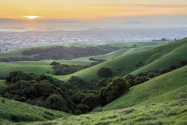 Green rolling hills with trees at sunset, overlooking a cityscape in the distance.