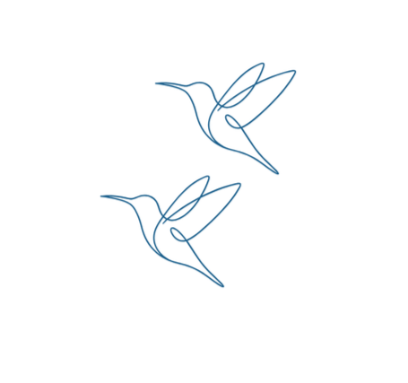 Two minimalist line drawings of hummingbirds on a white background.