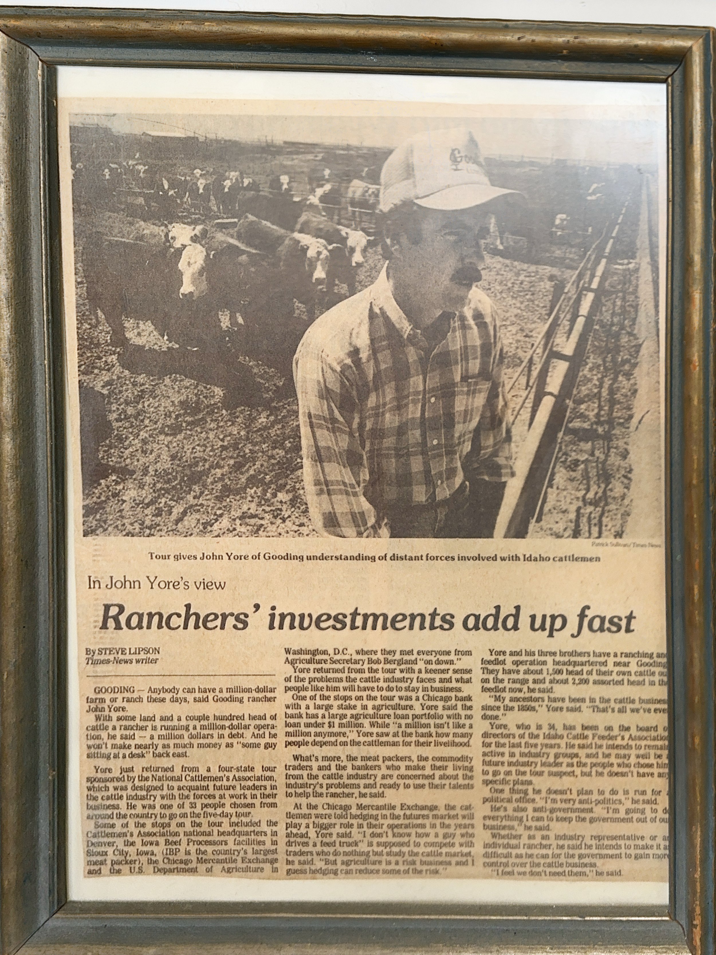A black and white newspaper article featuring a photograph of a man in a plaid shirt and cap standing in a field with grazing cattle in the background. The caption mentions John Yore of Gooding and the context involves cattle ranching investments.