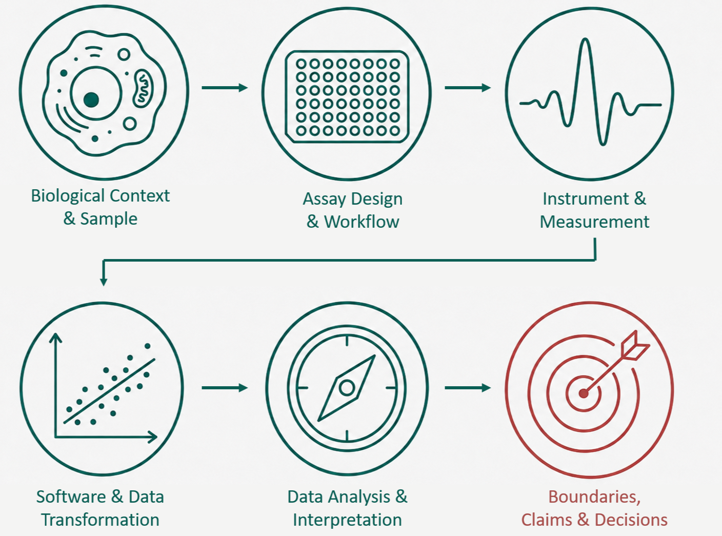 Biological measurement chain from sample and assay design through instrumentation, software, data interpretation, and evidence-based claims and decisions.