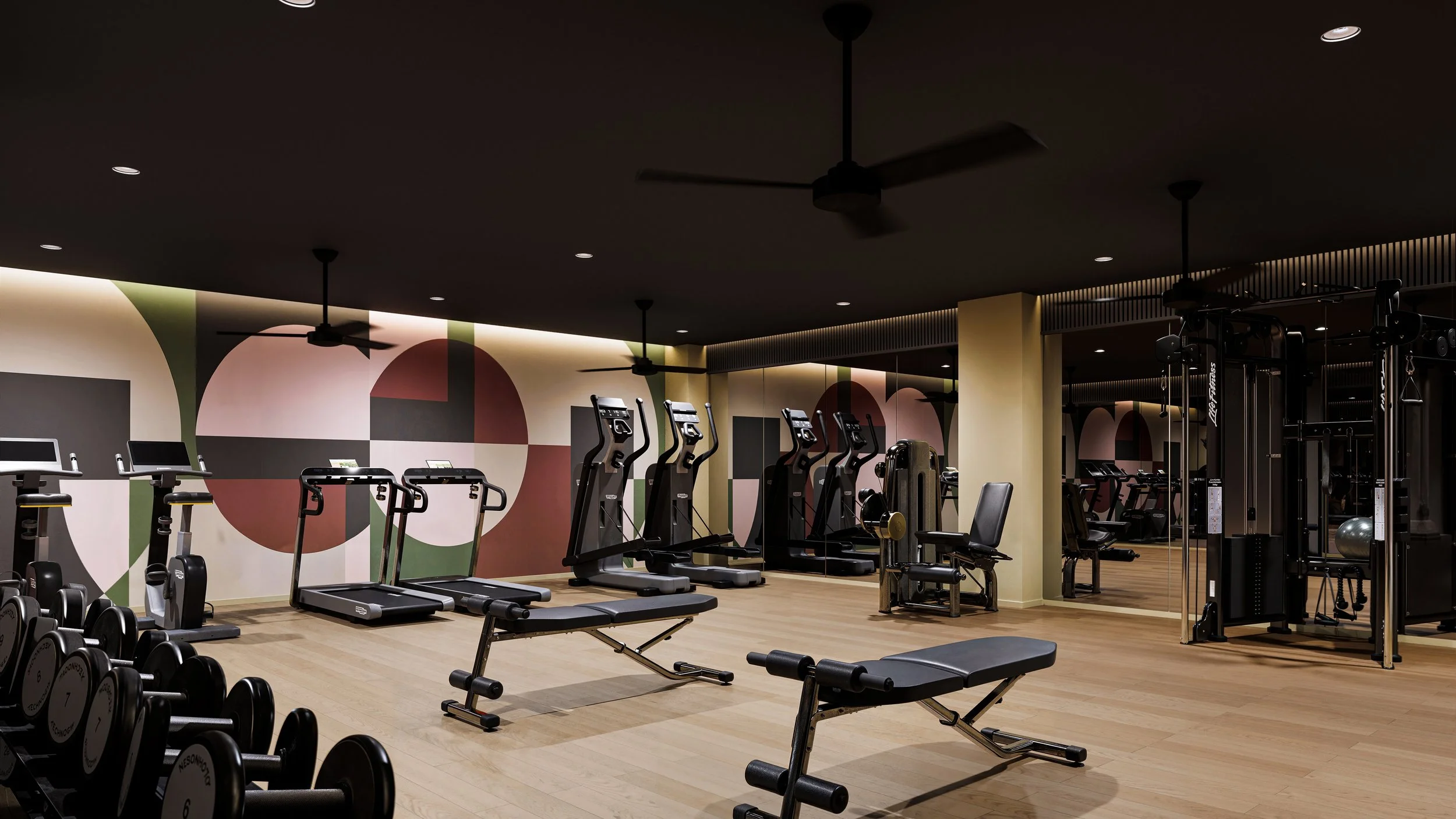 20260225_Round-Final_Cam-GYM_BARS.jpg