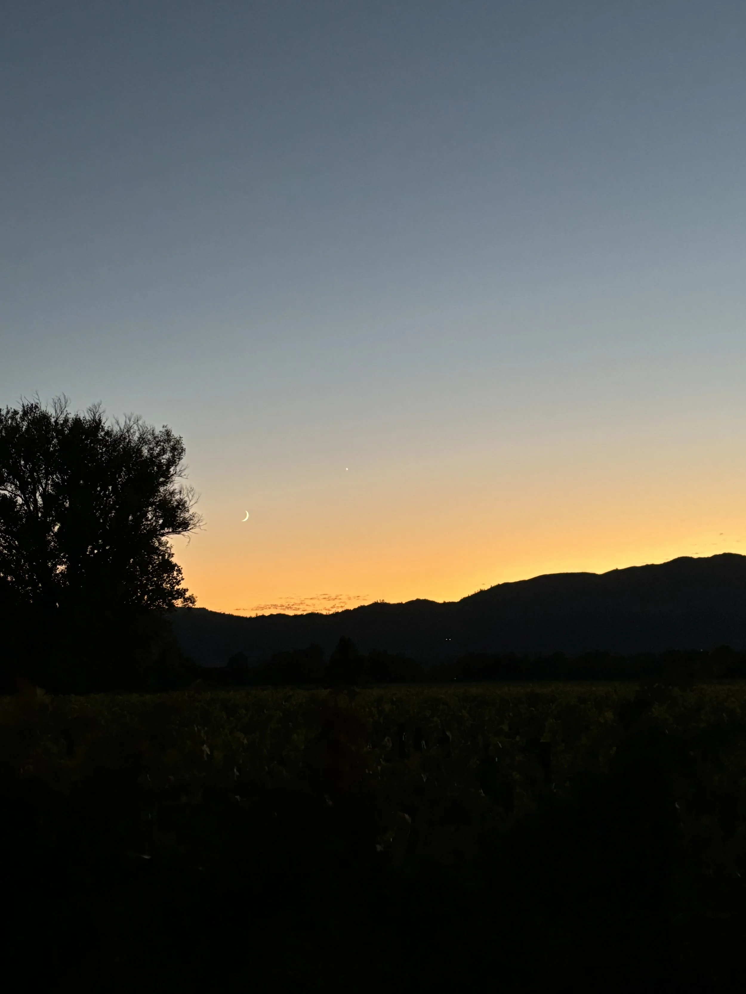 A landscape photo taken during sunset, featuring a silhouette of a large tree in the foreground, rolling hills in the distance, and a darkening sky with a visible crescent moon, planet, and stars.