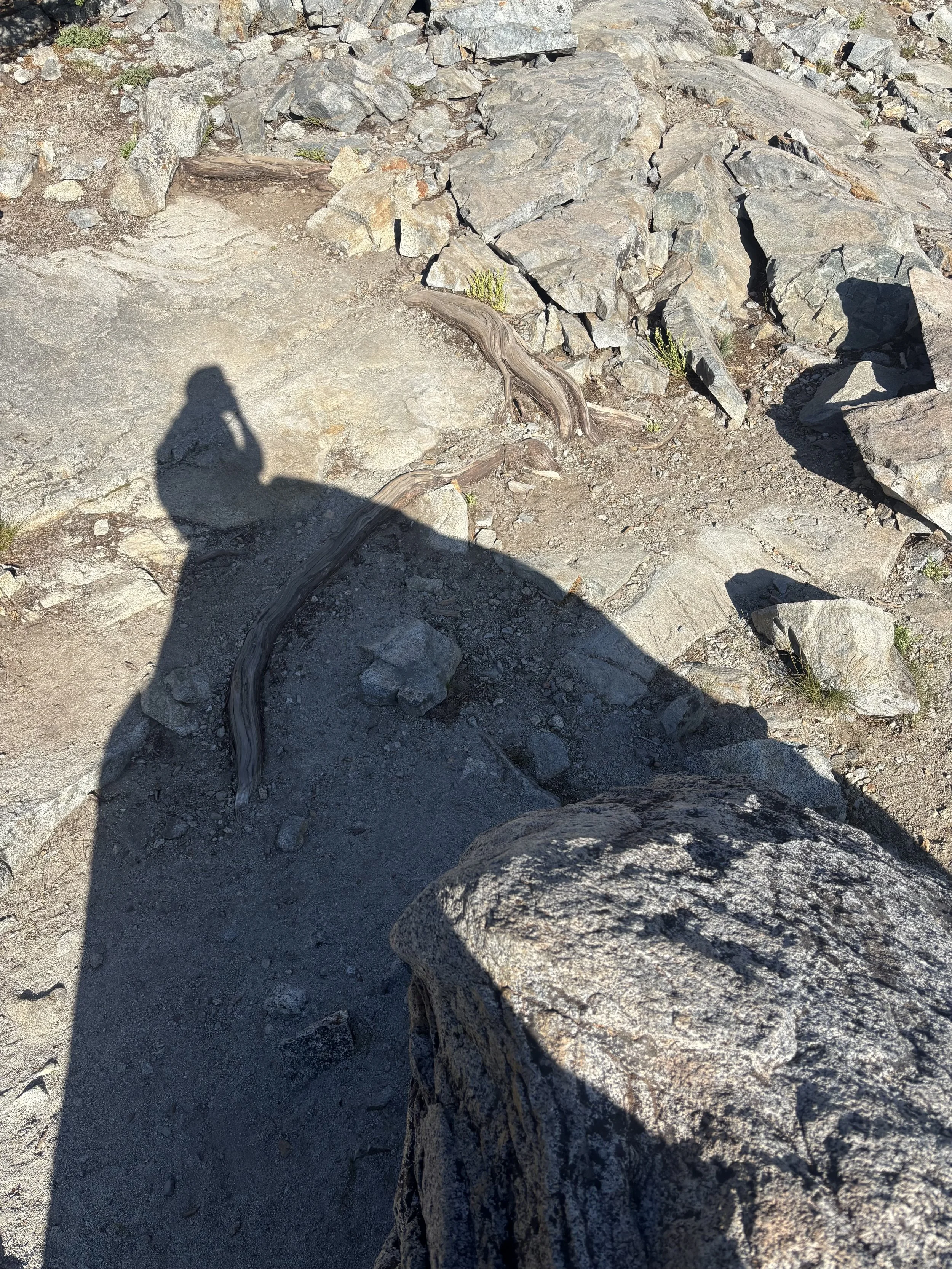 A rocky trail with scattered rocks, dirt, driftwood, and small plants, with the shadow of a person taking the photo and a mountain shadow cast over the ground.