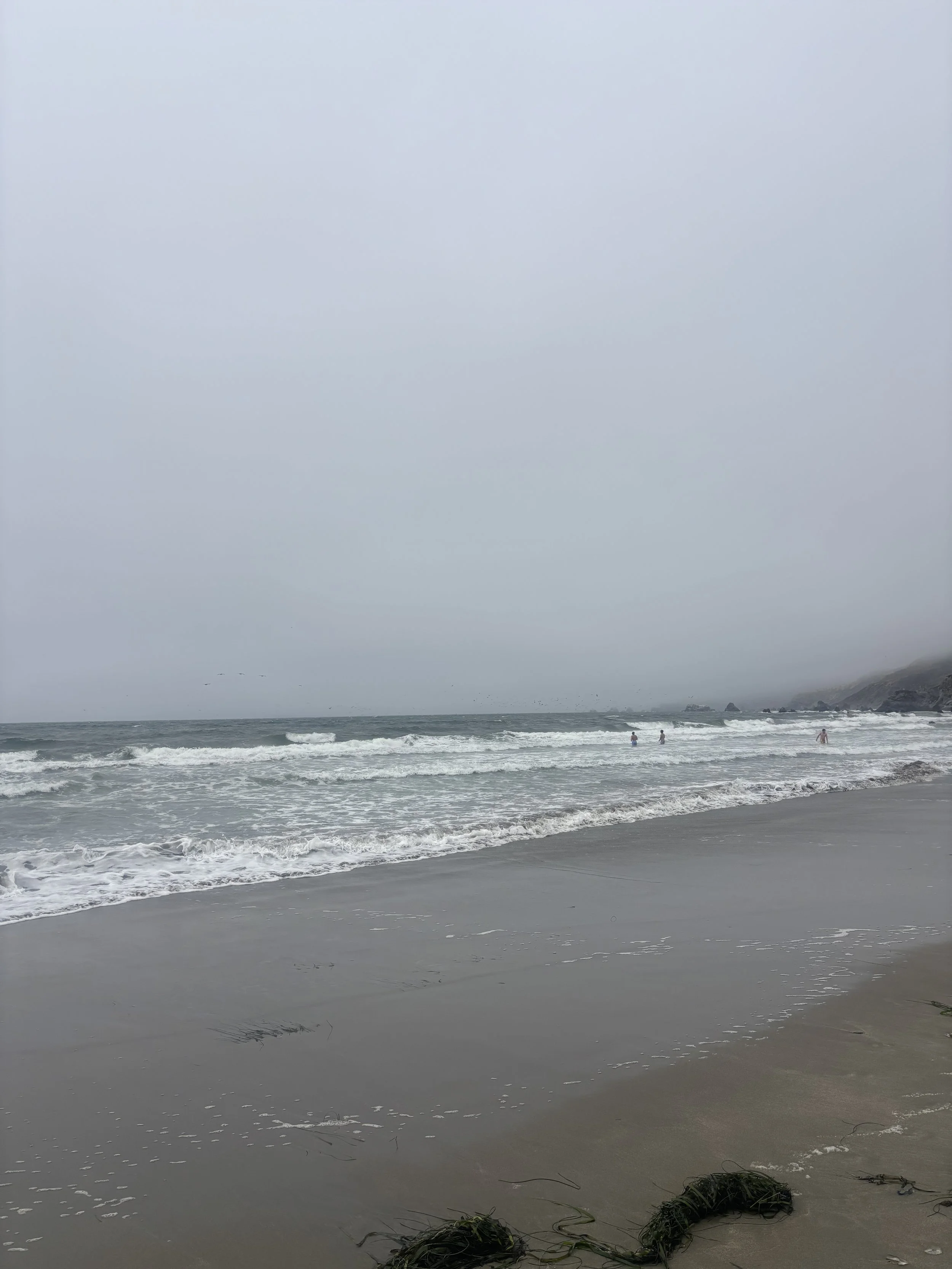 Overcast beach with gentle waves, three people wading in the water, distant rocky shoreline on the right, dry seaweed on the sandy beach in the foreground.