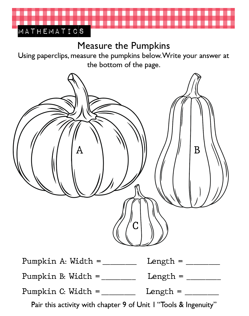 bundle3.png