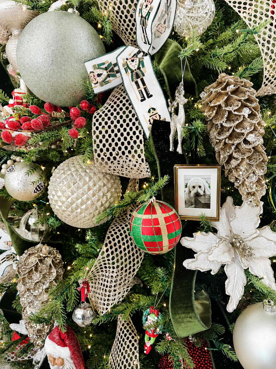 Close-up of a decorated Christmas tree with ornaments, ribbons, and a framed photo of a dog.