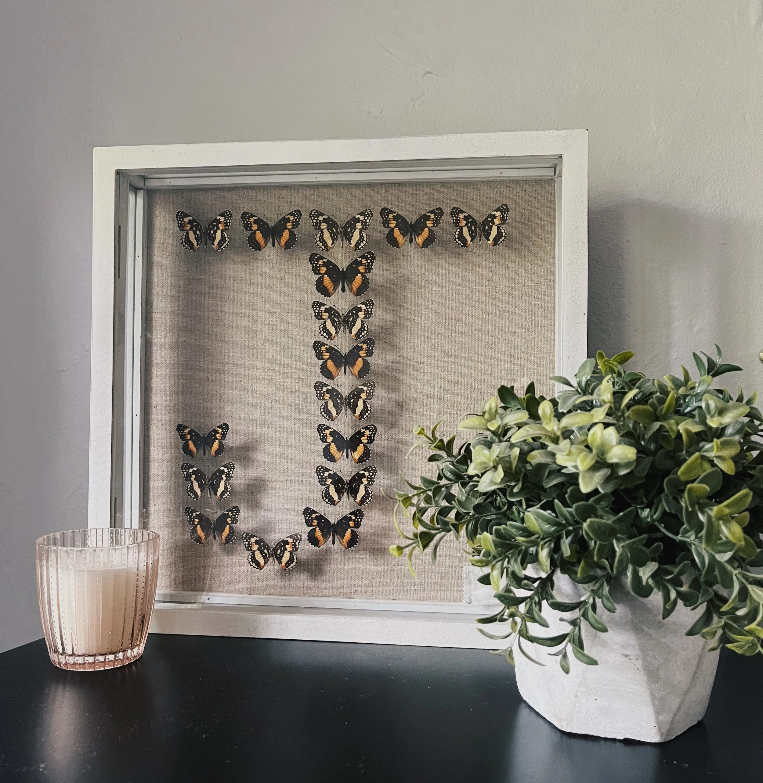 Display case with a collection of butterflies arranged in a "J" shape on beige background, a pink glass vase with a textured pattern and green foliage in the foreground, against a light-colored wall.