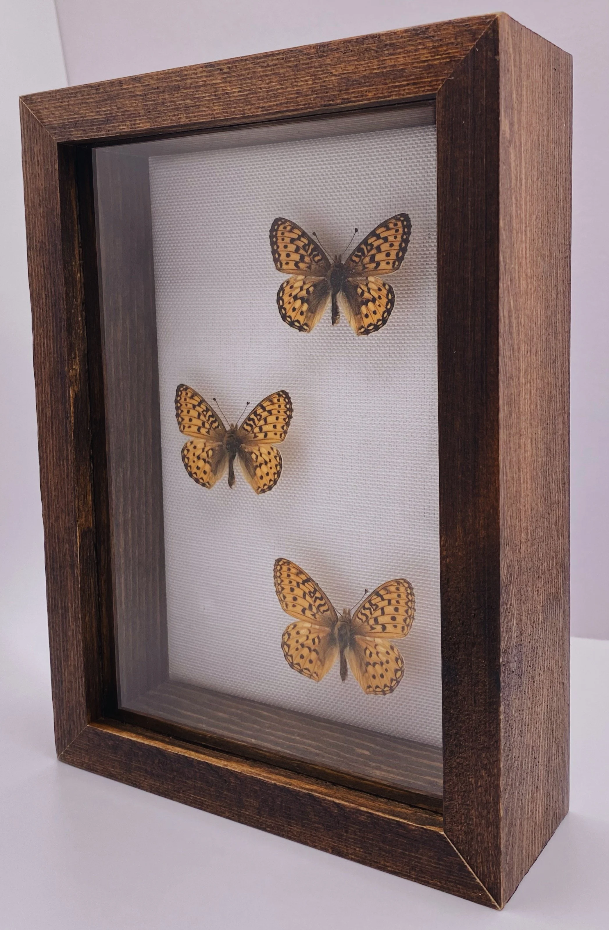The Fritillaries