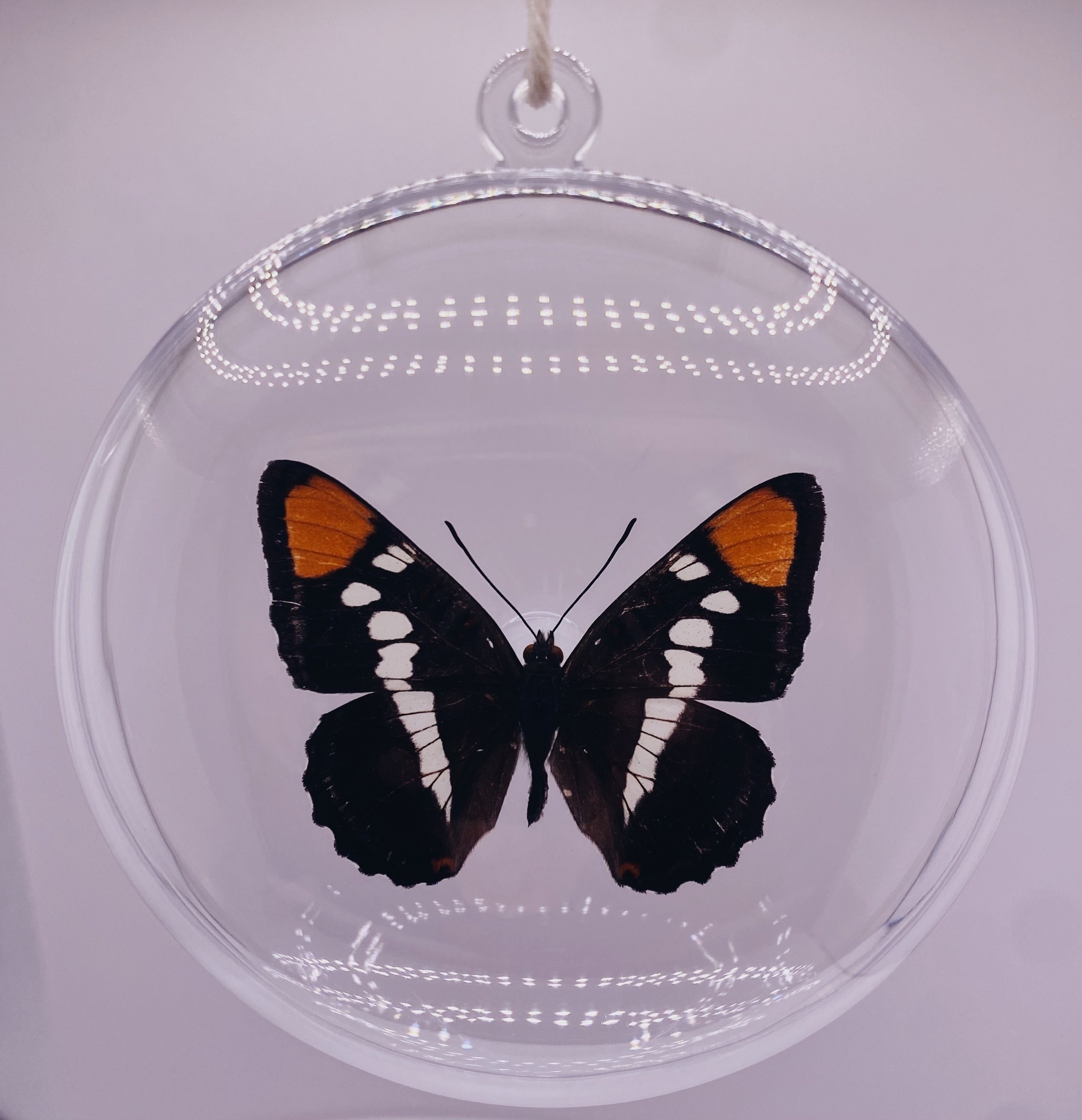 Holiday Butterfly Ornament