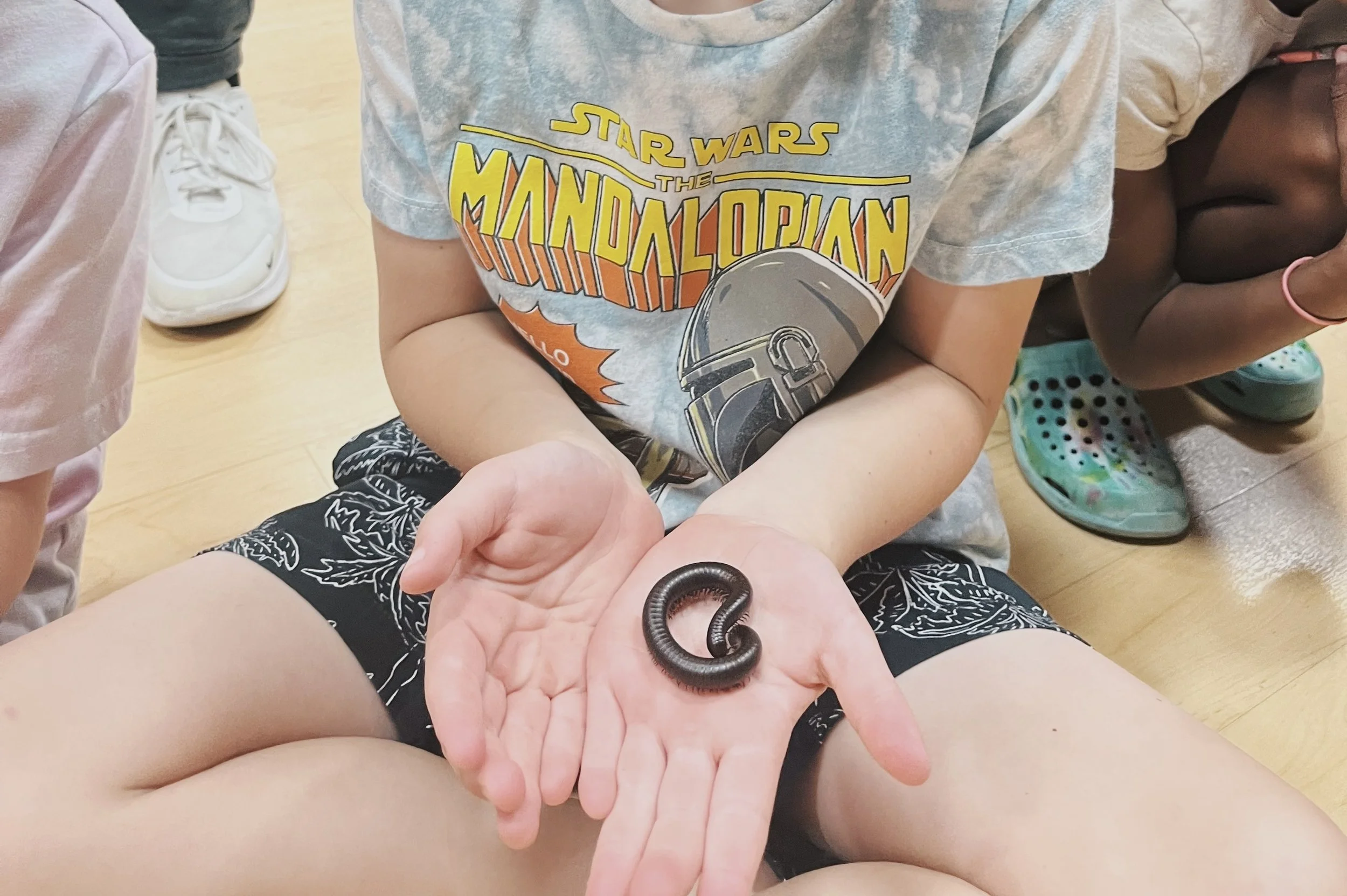 A child holding a black millipede with a curled body in their hand while seated on the floor.