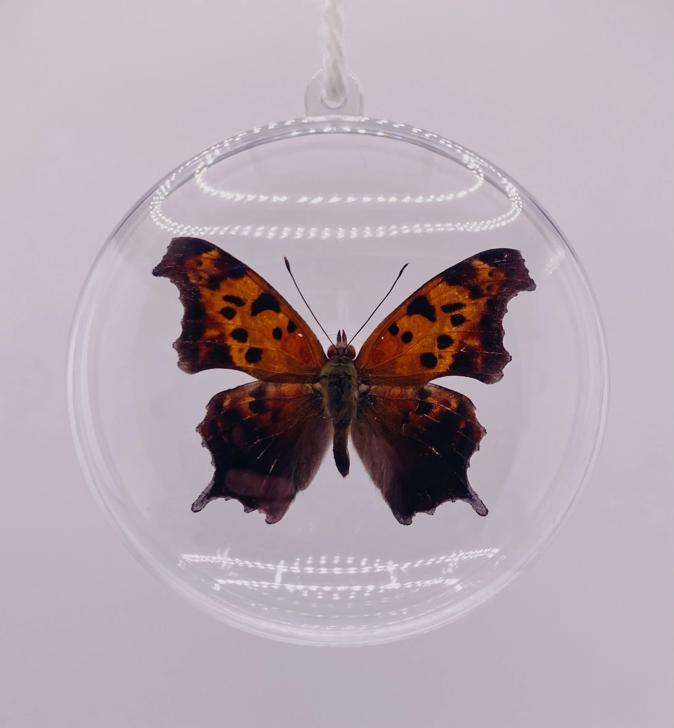 Leaf Butterfly Ornament