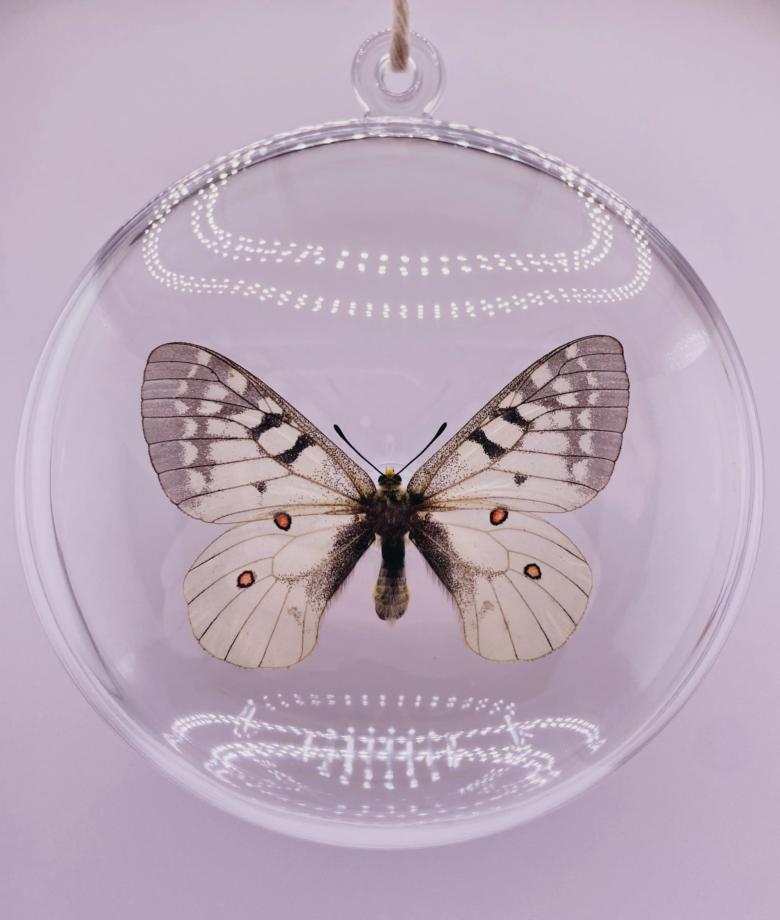 White Butterfly Ornament