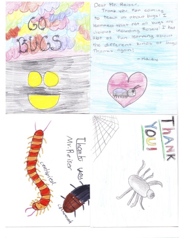 A colorful children's thank you card with drawings and handwritten messages about bugs.