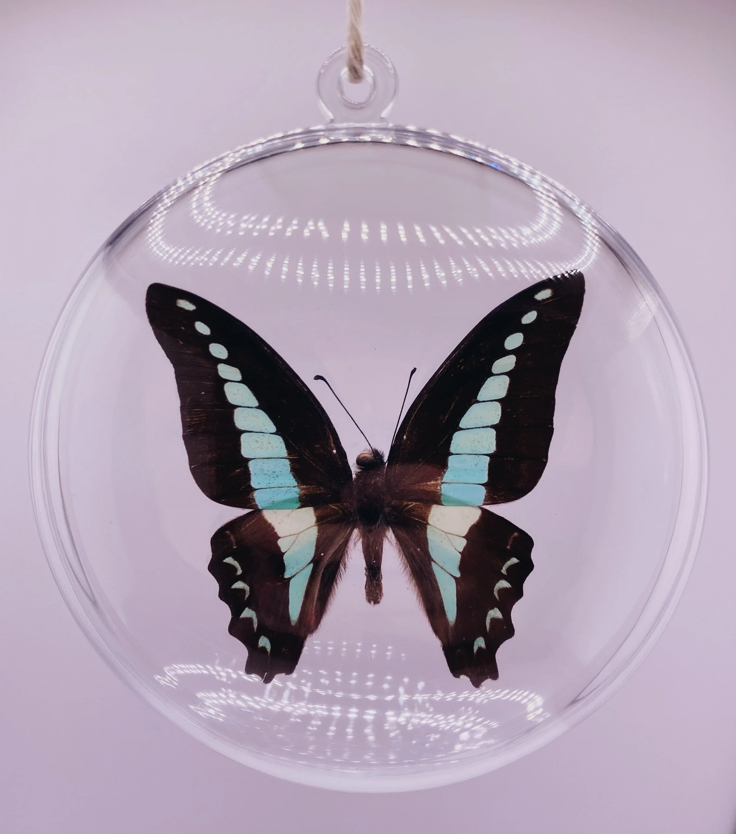 Green Butterfly Ornament