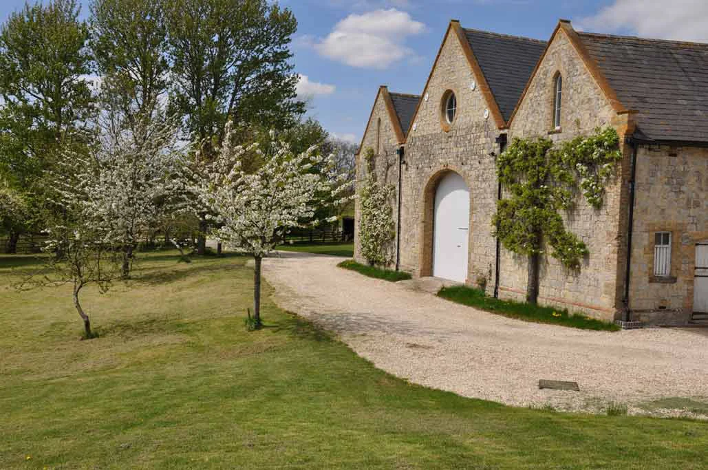 barn blossom.jpg