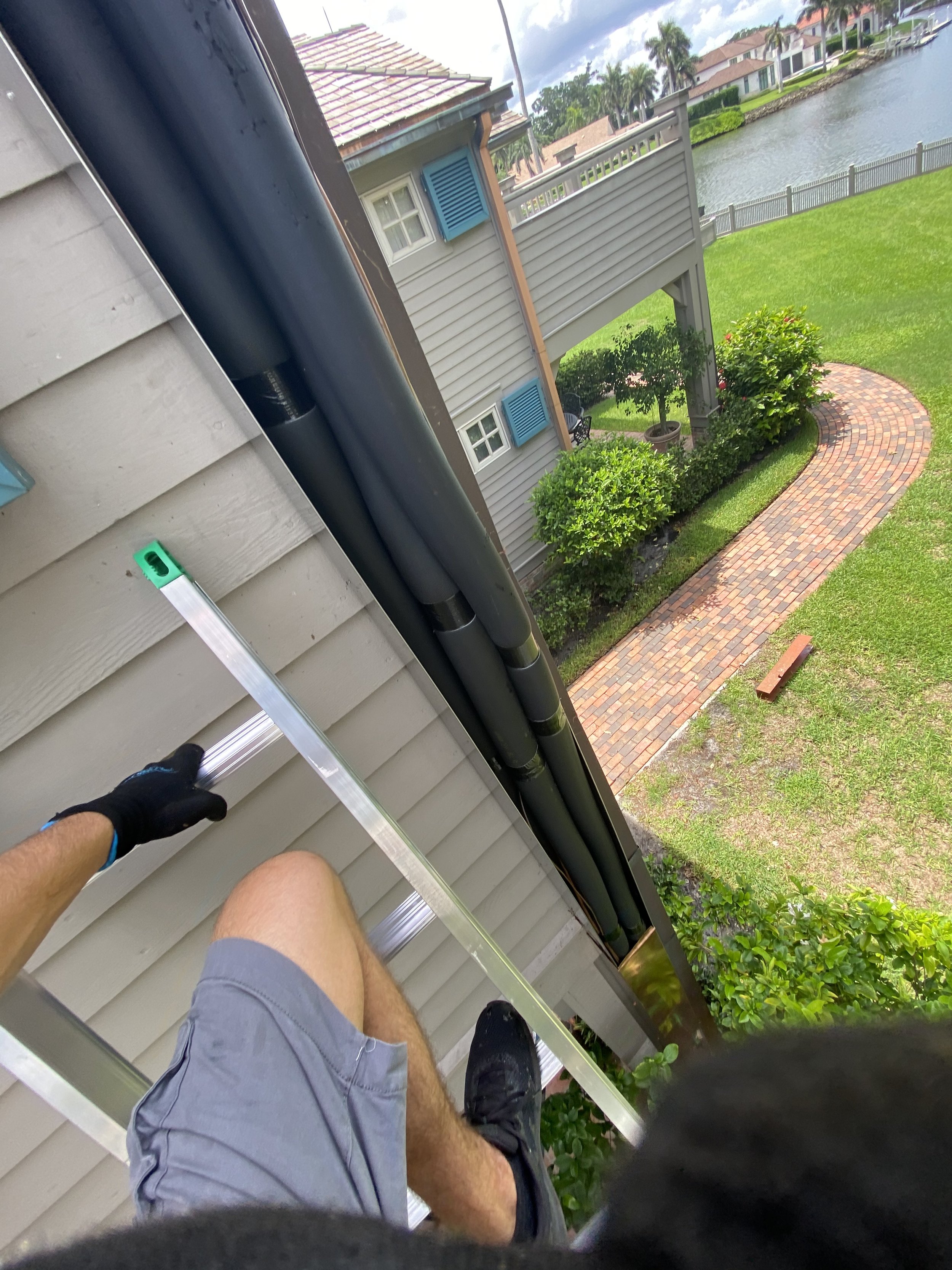 IMG_2655.jpeg