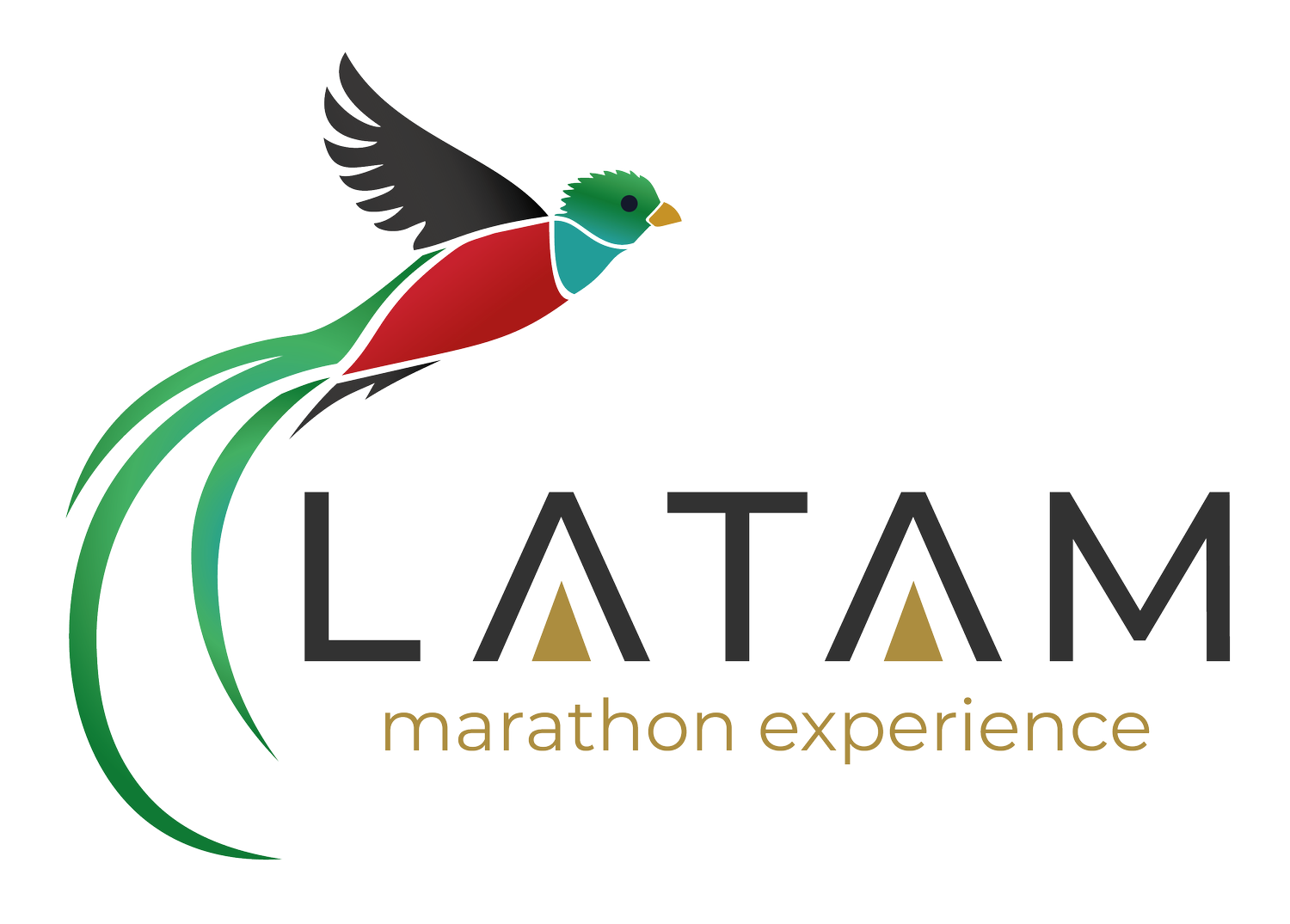 LATAM Marathon Experience