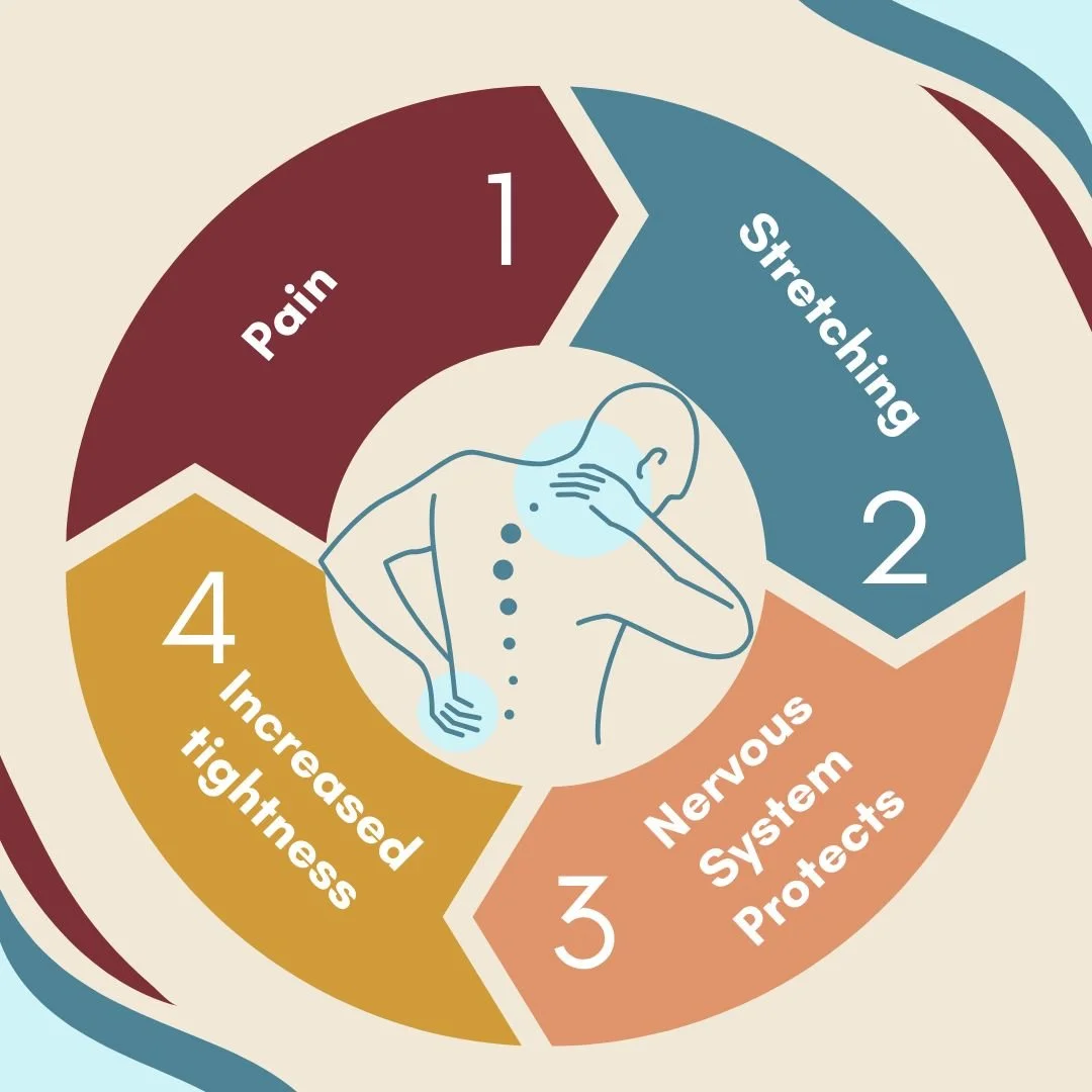 Diagram of the pain cycle: 1. Pain, 2. Stretching, 3. Nervous system protects, 4. Increased tightness, which leads back to pain