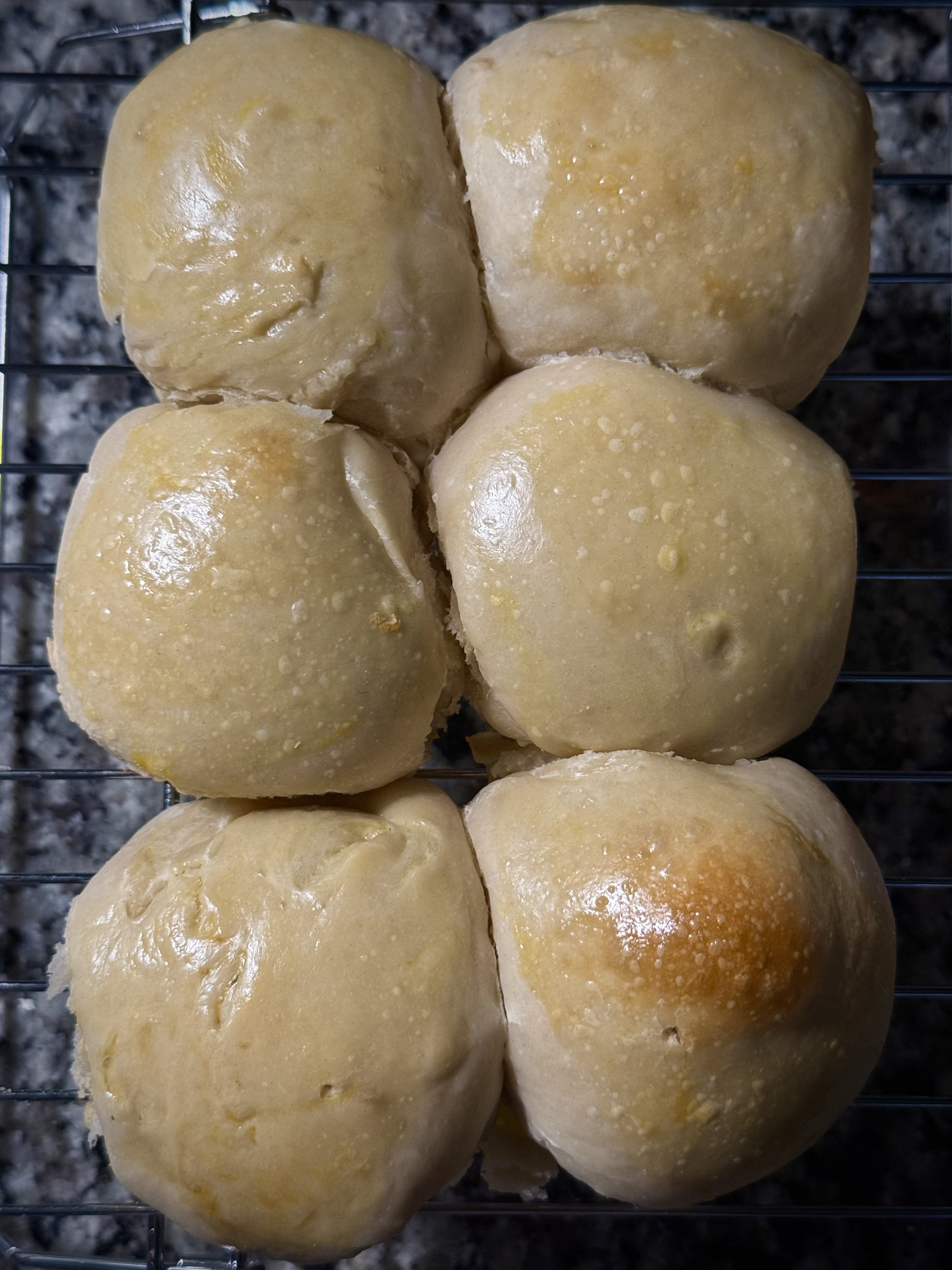 Dinner Rolls