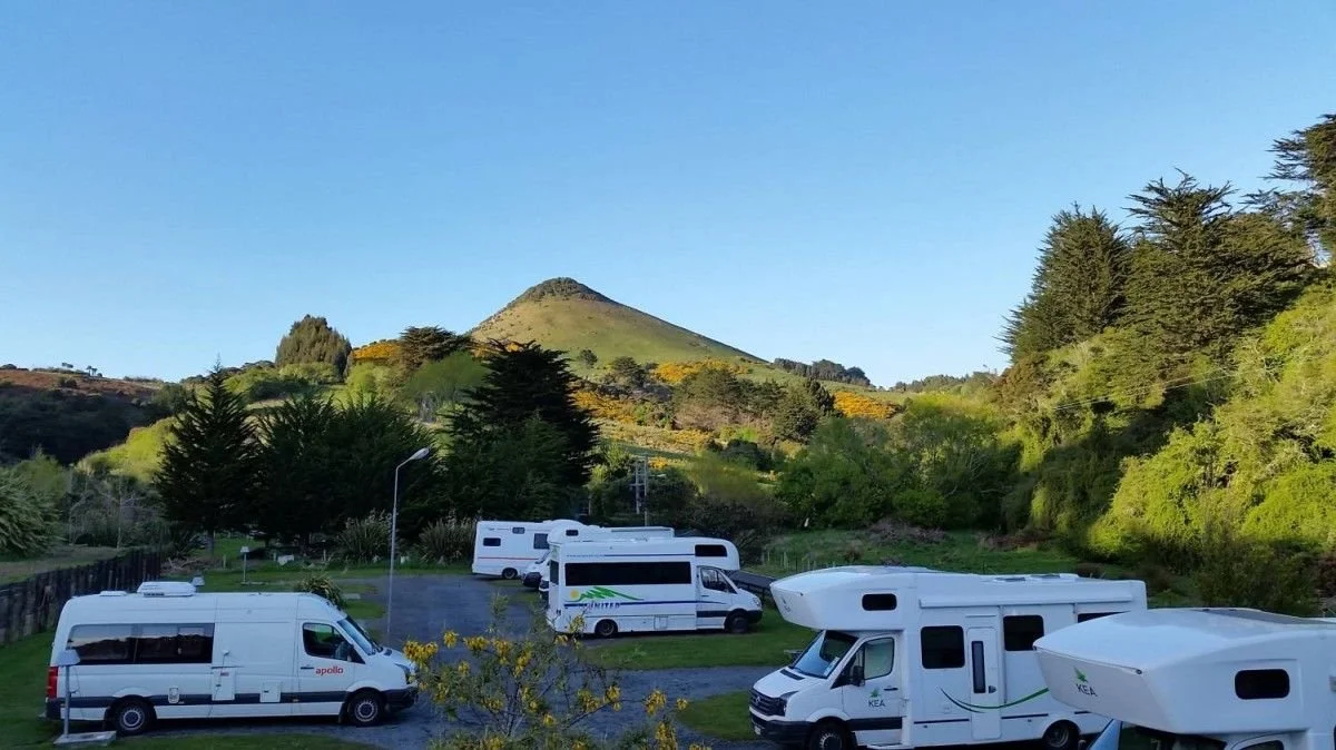 Campervans at Dunedin Campground on Otago Peninsula