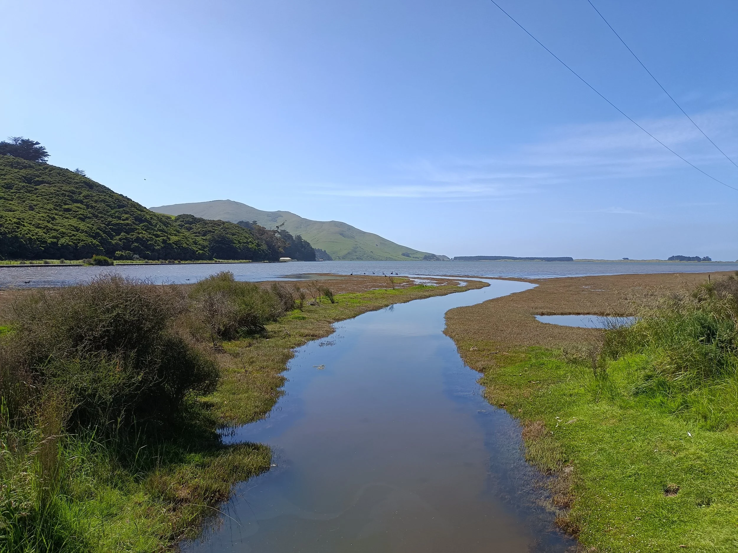 Hoopers Inlet Dunedin