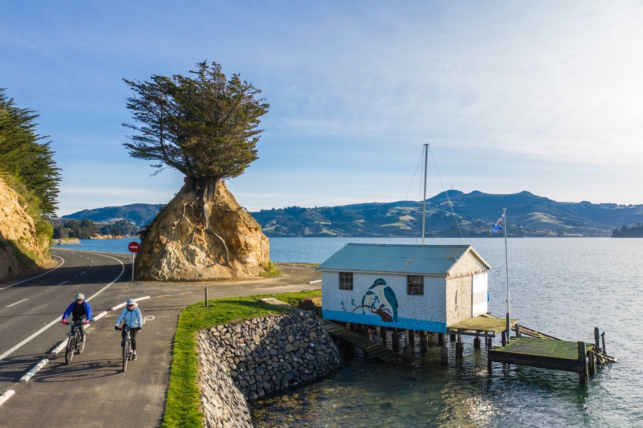 Peninsula Cycleway in Dunedin