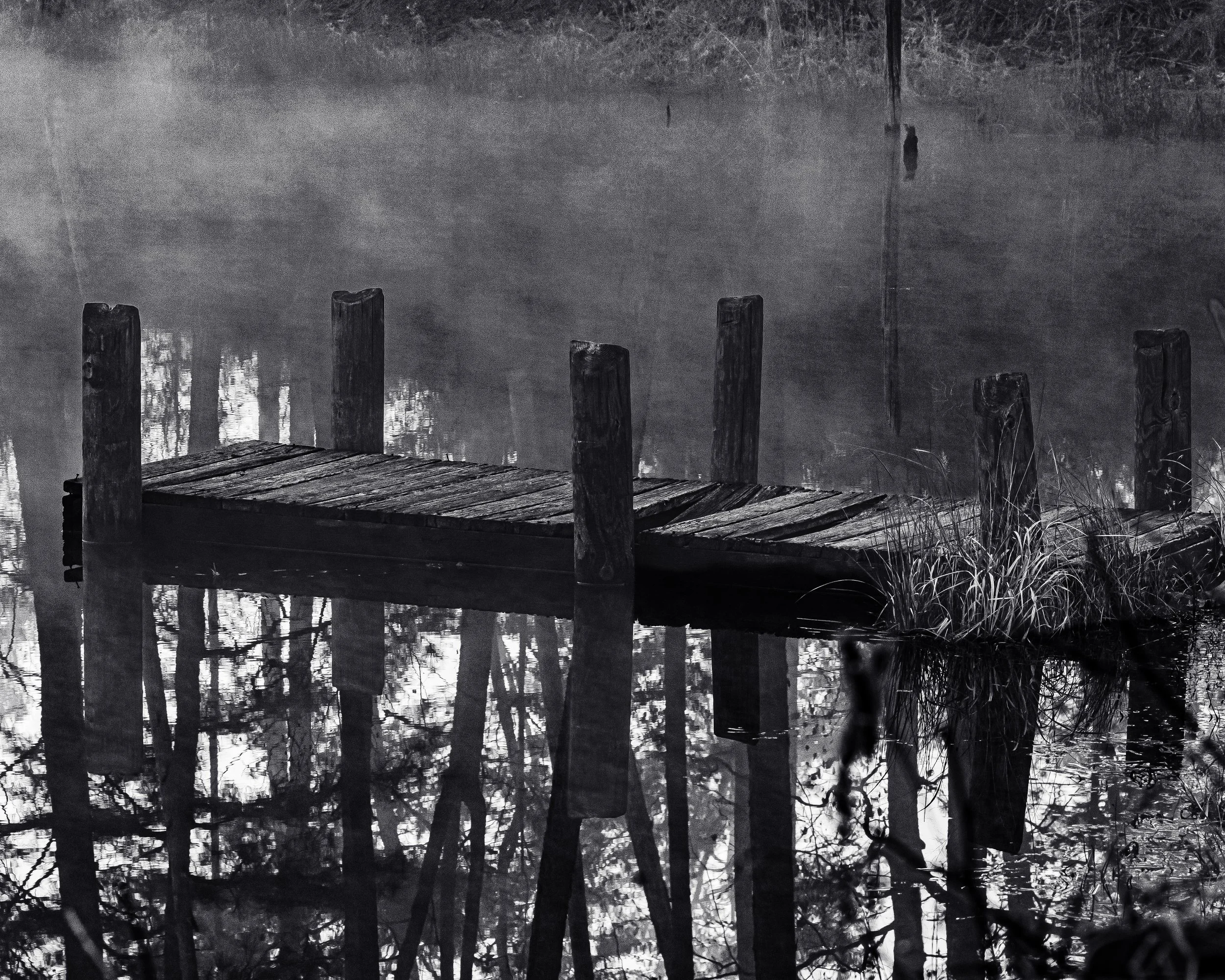 I got lost in the morning mist. There’s something so grounding about this old dock, standardizing a moment where the water is like glass and the rest of the world just fades away into the fog.