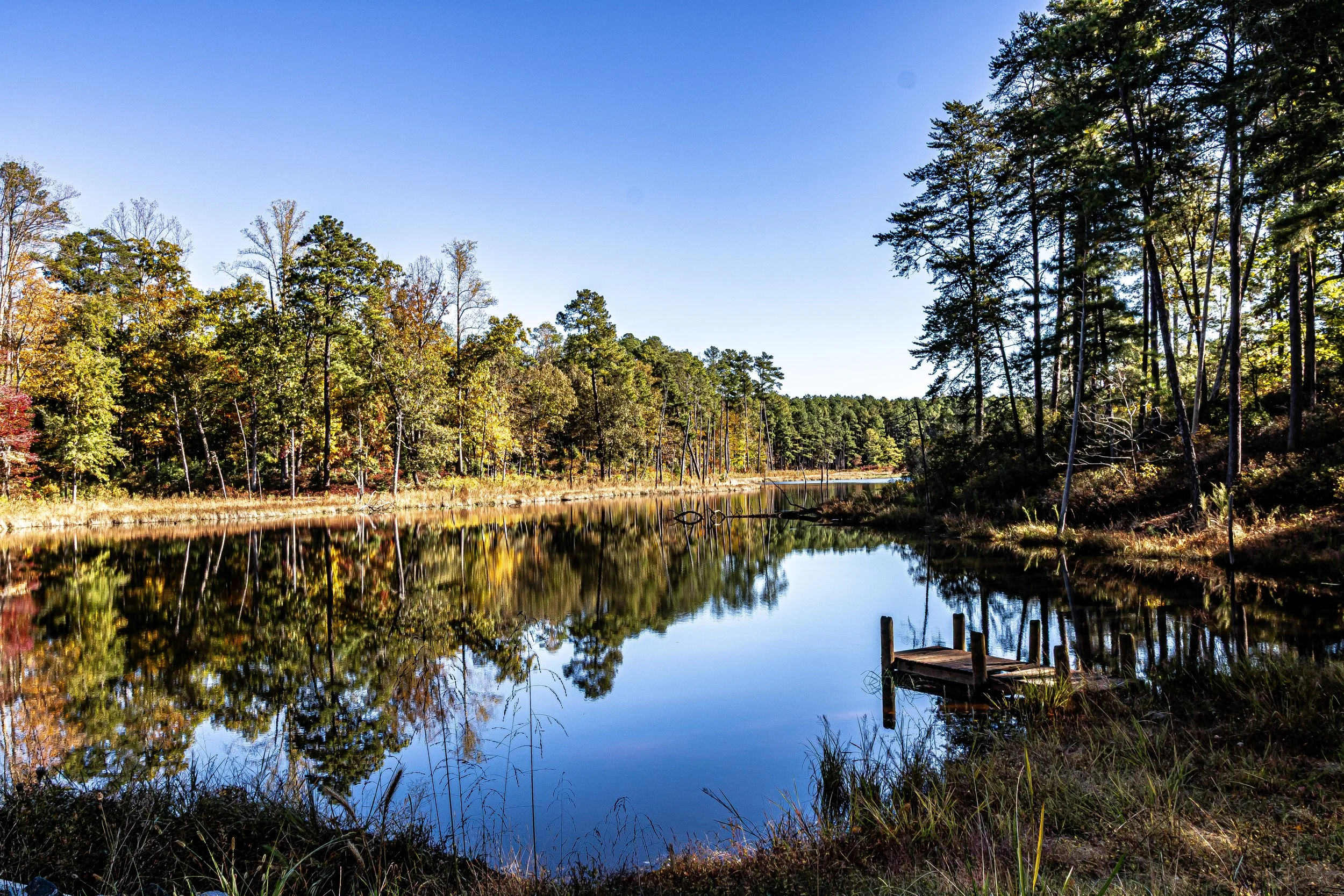 Honestly, it looks like a postcard out here. The sky is this brilliant, clear blue, and all around the water, the trees are showing off their best colors. The lake was so calm that the reflection looks almost identical to the real thing. It’s the kin