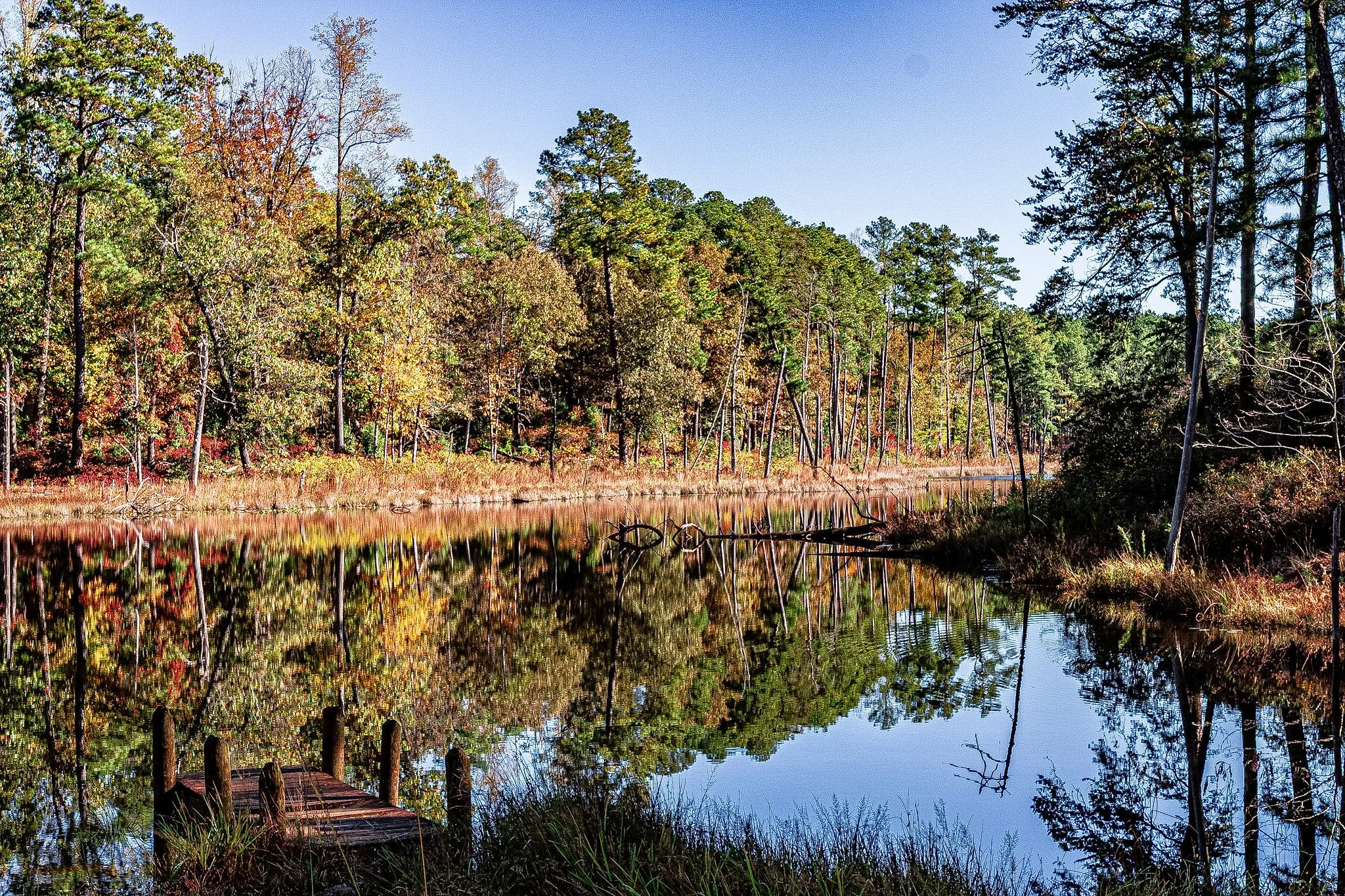 I sat by the water's edge, everything completely still. The lake was a perfect mirror, holding the reflection of the trees as they showed off their brilliant autumn golds and deep reds. Looking out, it felt like the whole world had taken a deep breat