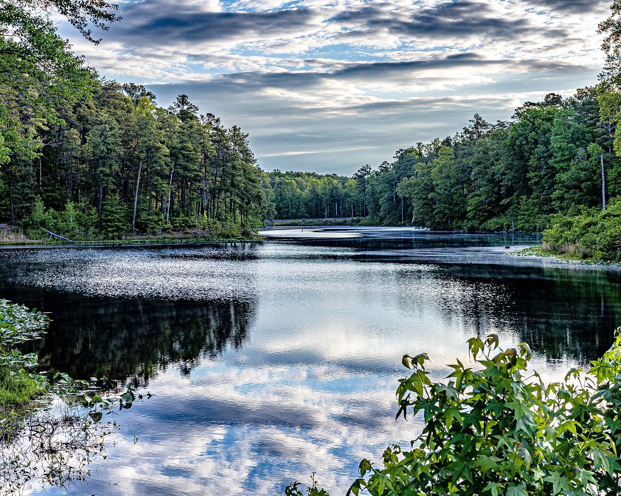The world completely quiets down out here. I’m standing at the edge of a glassy lake, looking out as the water perfectly mirrors the dense, vibrant green forest framing the shore. Up above, soft patches of clouds drift lazily across the sky, catching