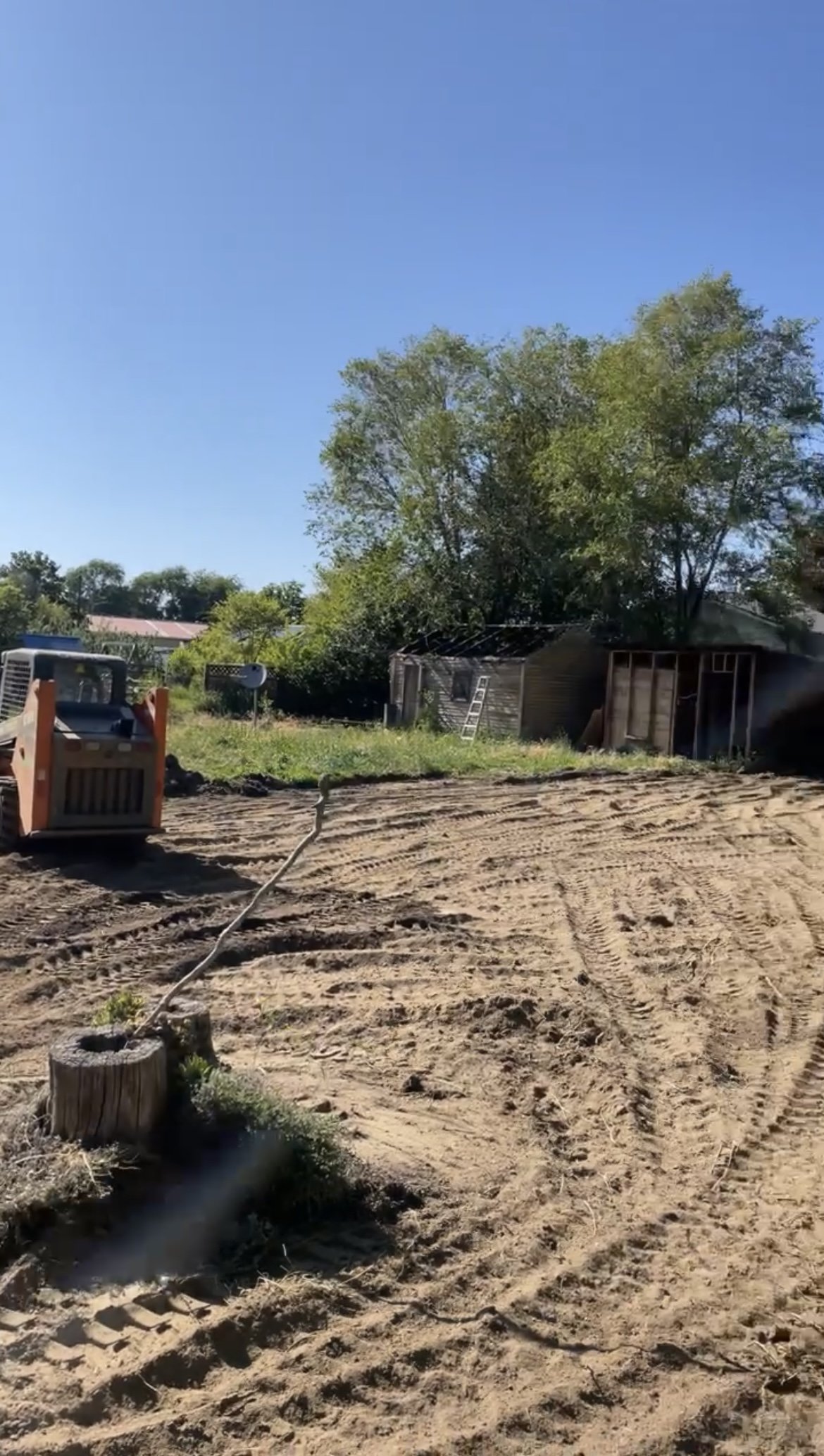 A construction site with a skid steer loader on dirt, surrounded by trees and a small shed in the background. A ladder leans against the shed.