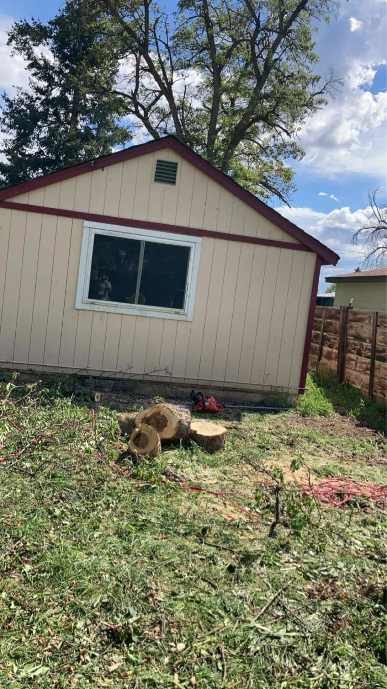 Backyard with tree-trunk sections, a chainsaw, and a beige shed with a window. Tree branches and logs are scattered in the yard.
