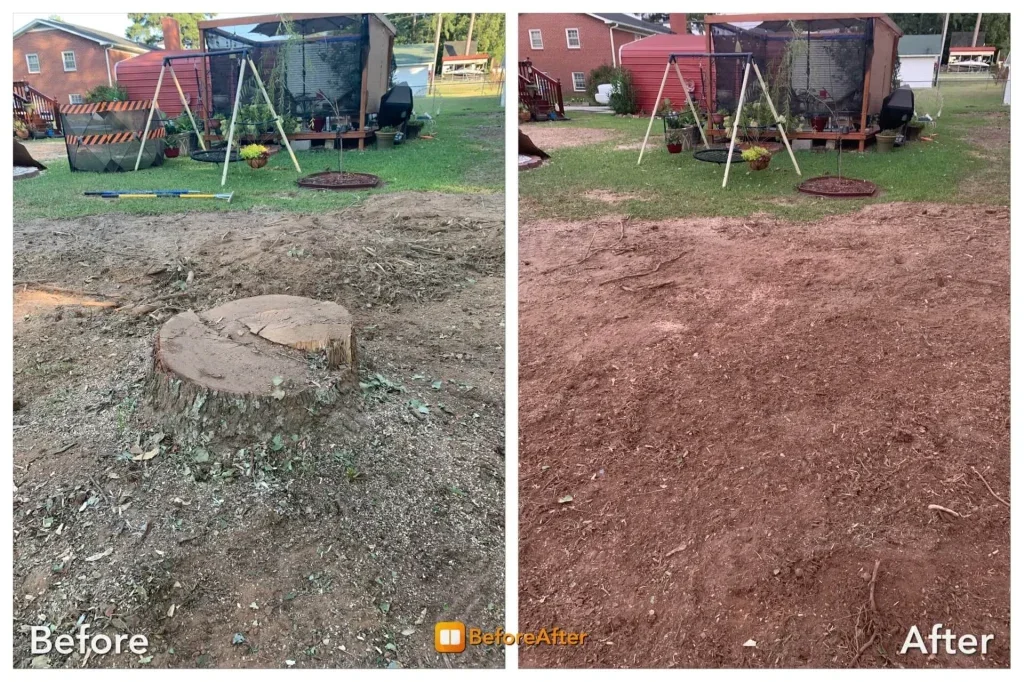 Stump Removal