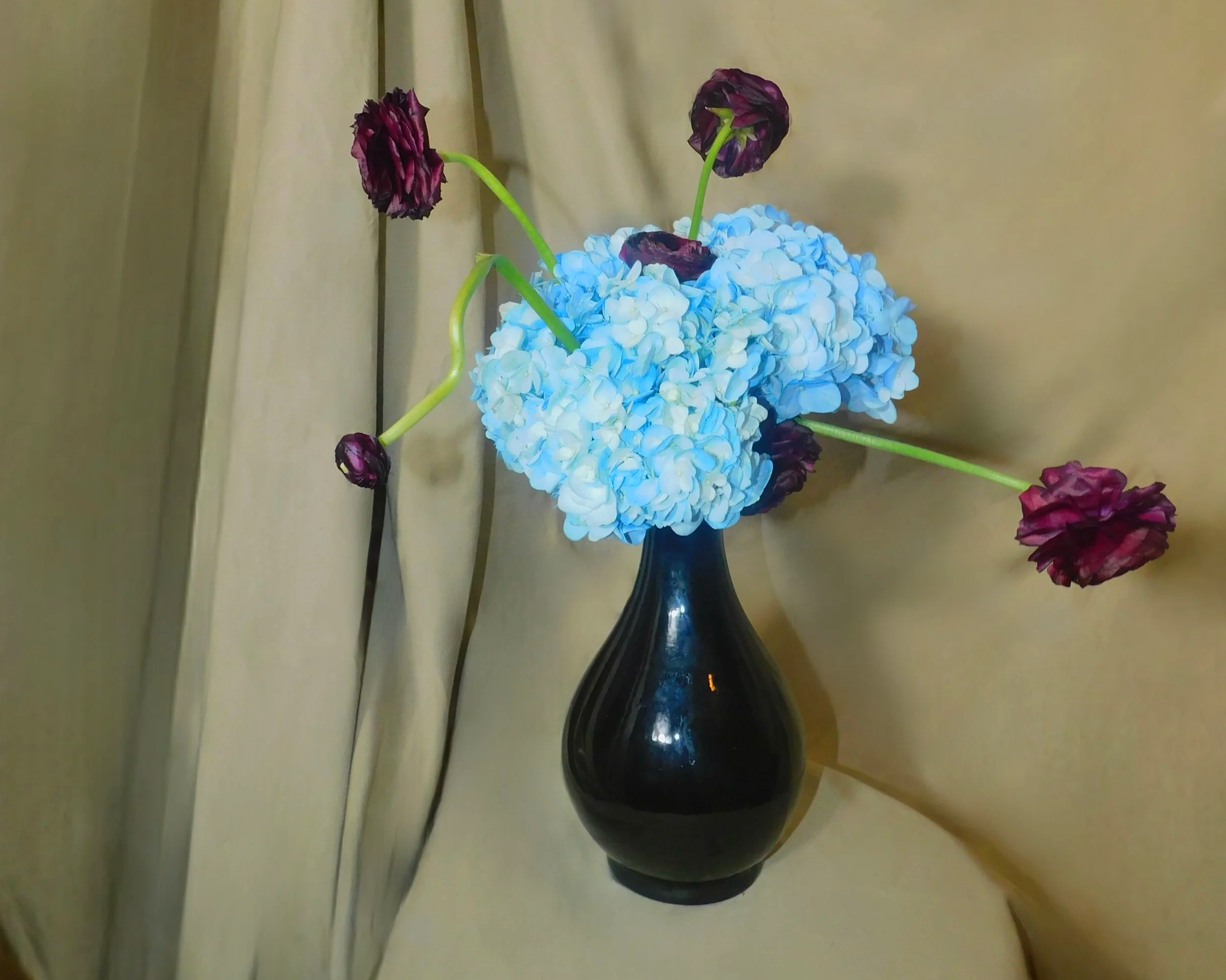 A black vase holding a bouquet of blue hydrangeas and dark red ranunculus flowers, placed against a light-colored curtain background.