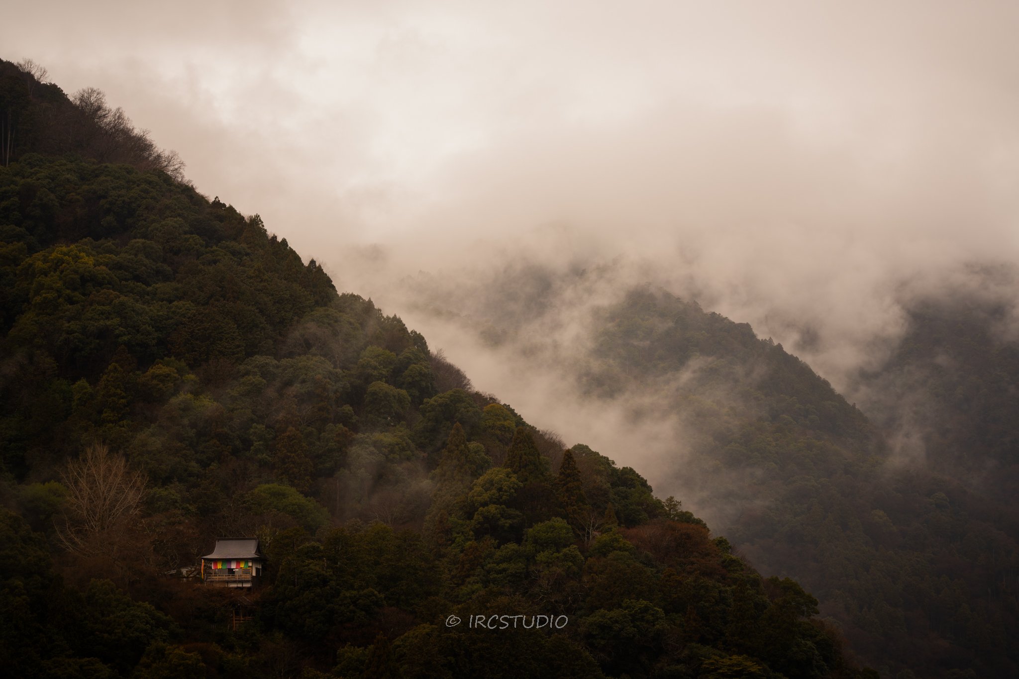 Photos from Japan