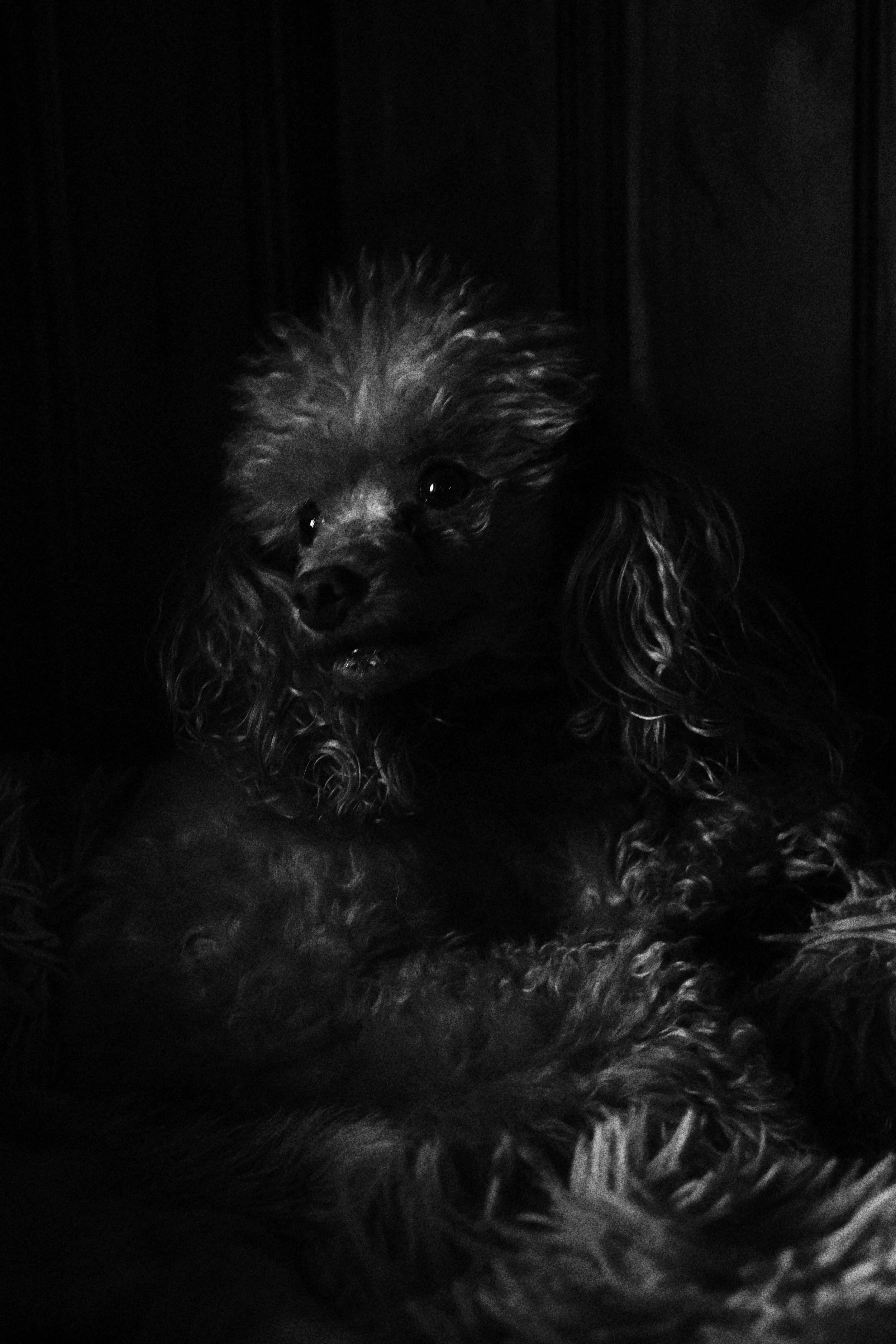 Photo of Mupet
