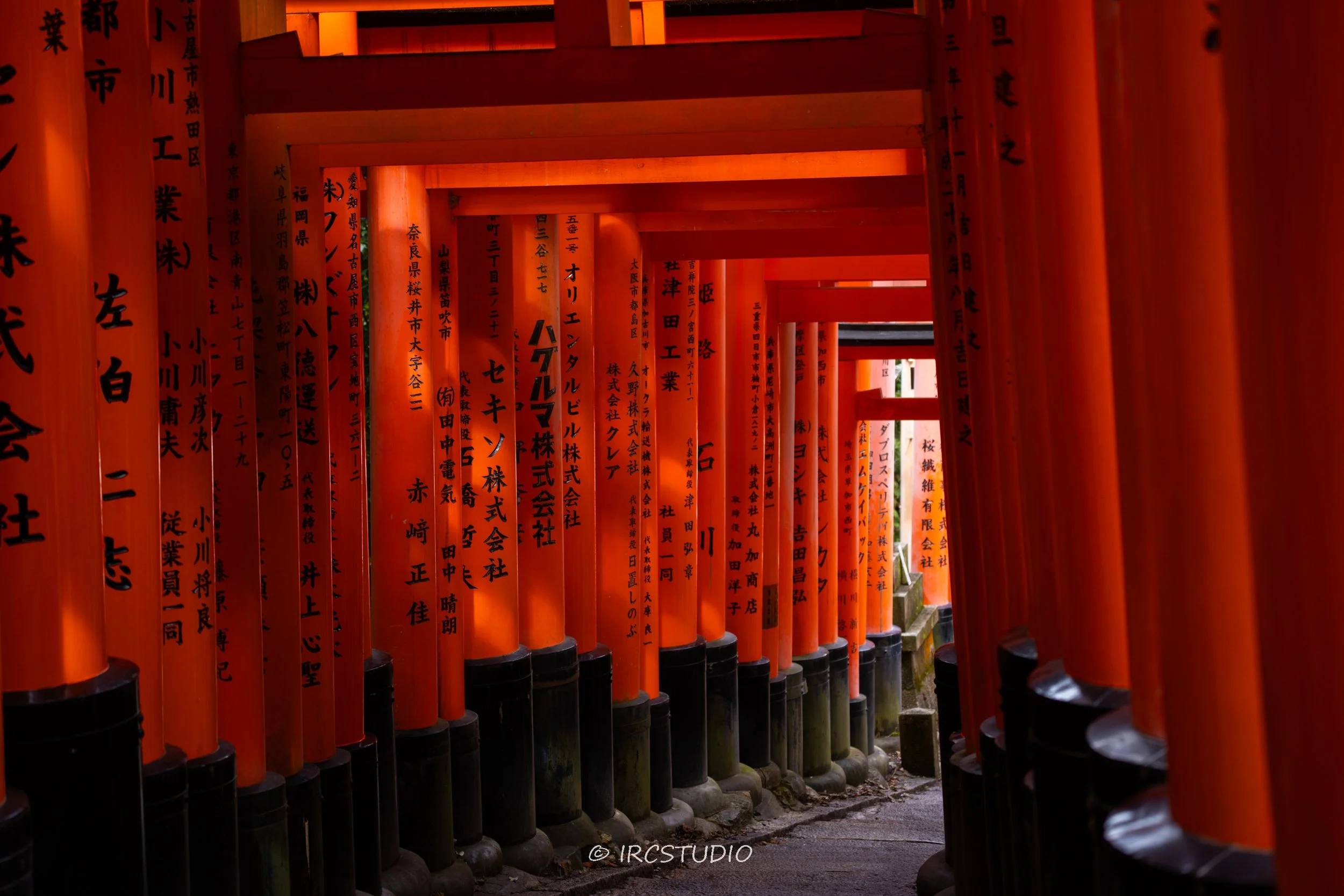 Natgeo Culture-05.jpg