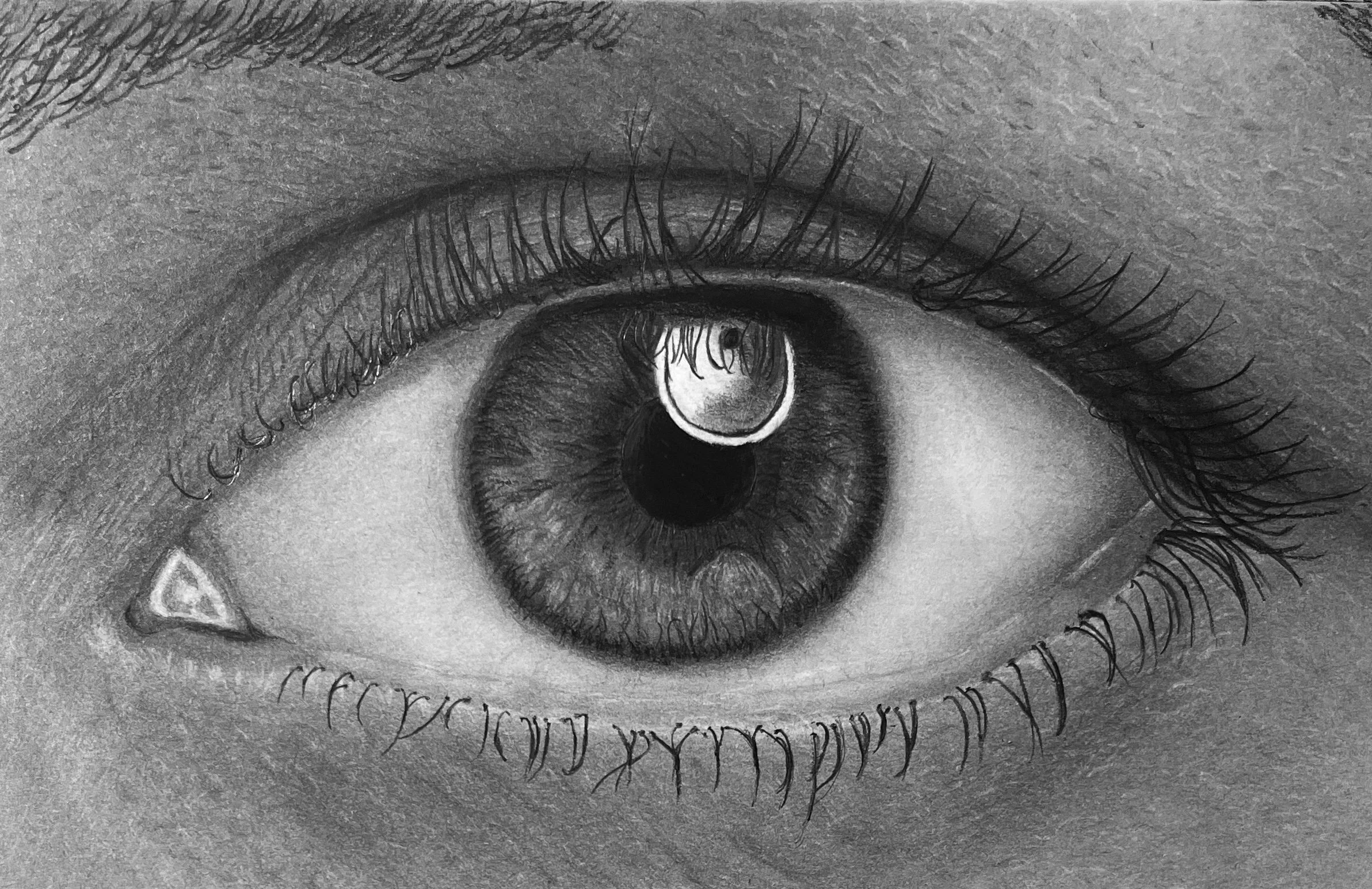 “Openness”